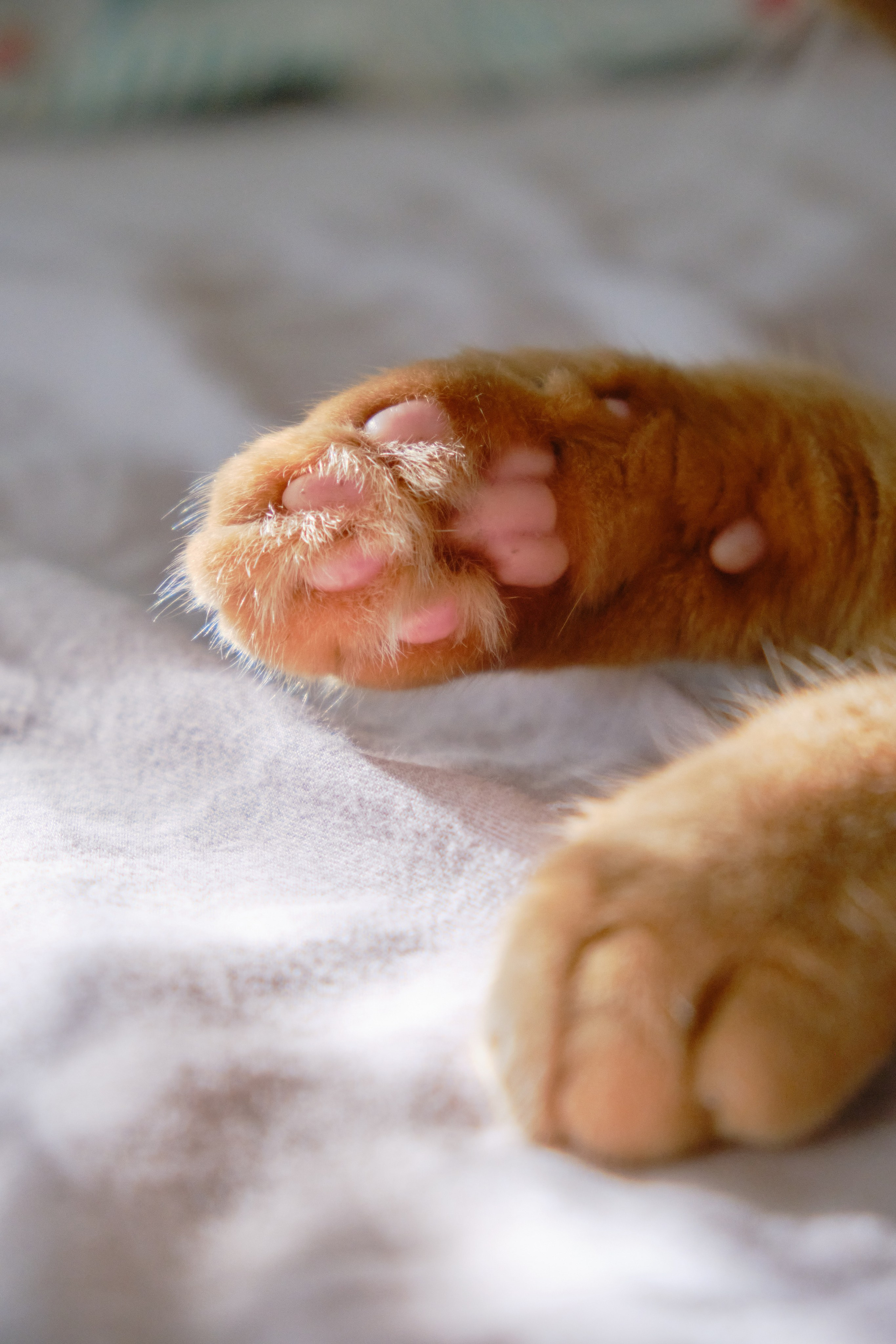 Замечательная повседневность. Контент-фотограф и видеограф в Перми