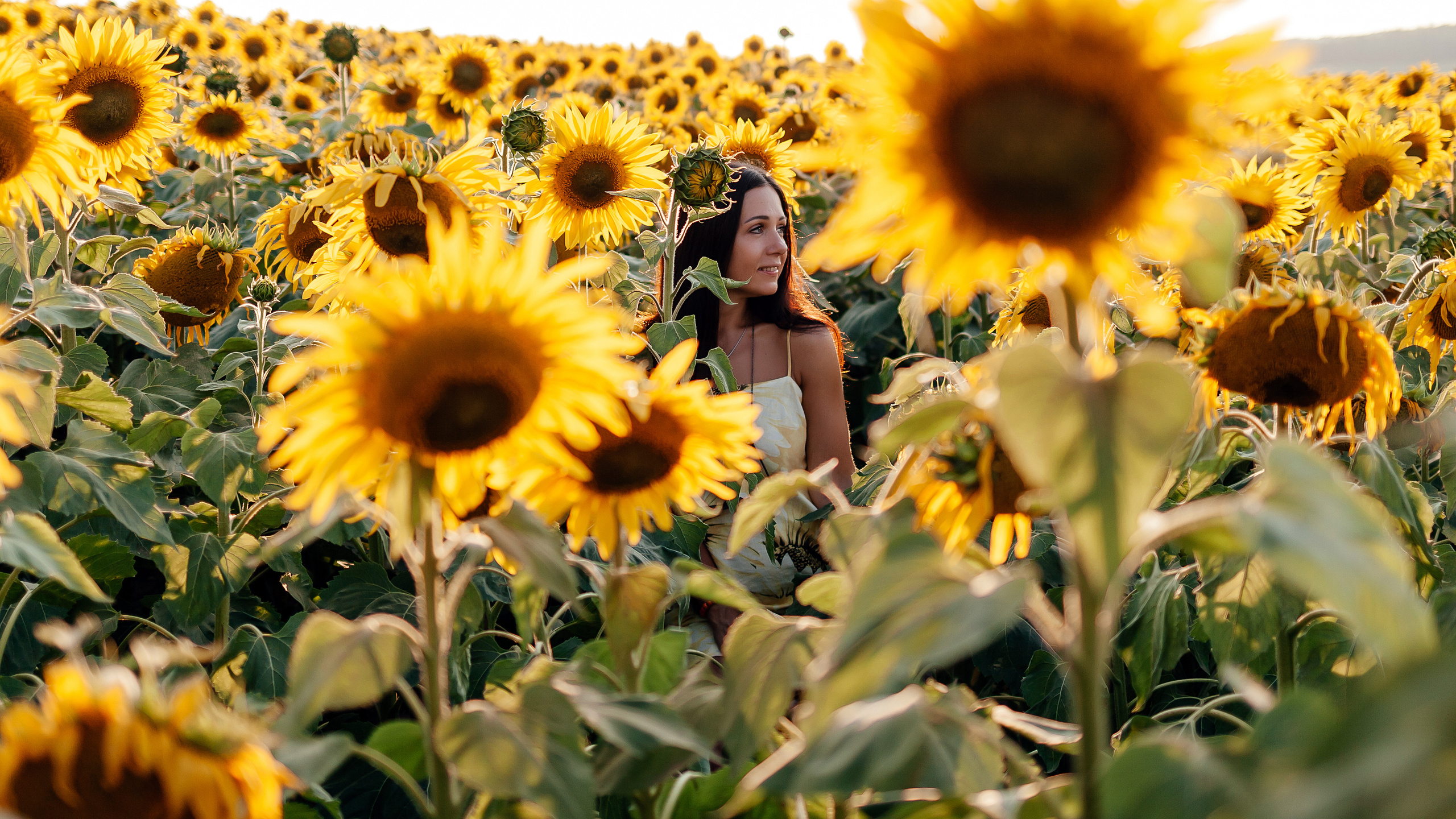Август. Поля. Семейный фотограф в Минске Приболовец Светлана
