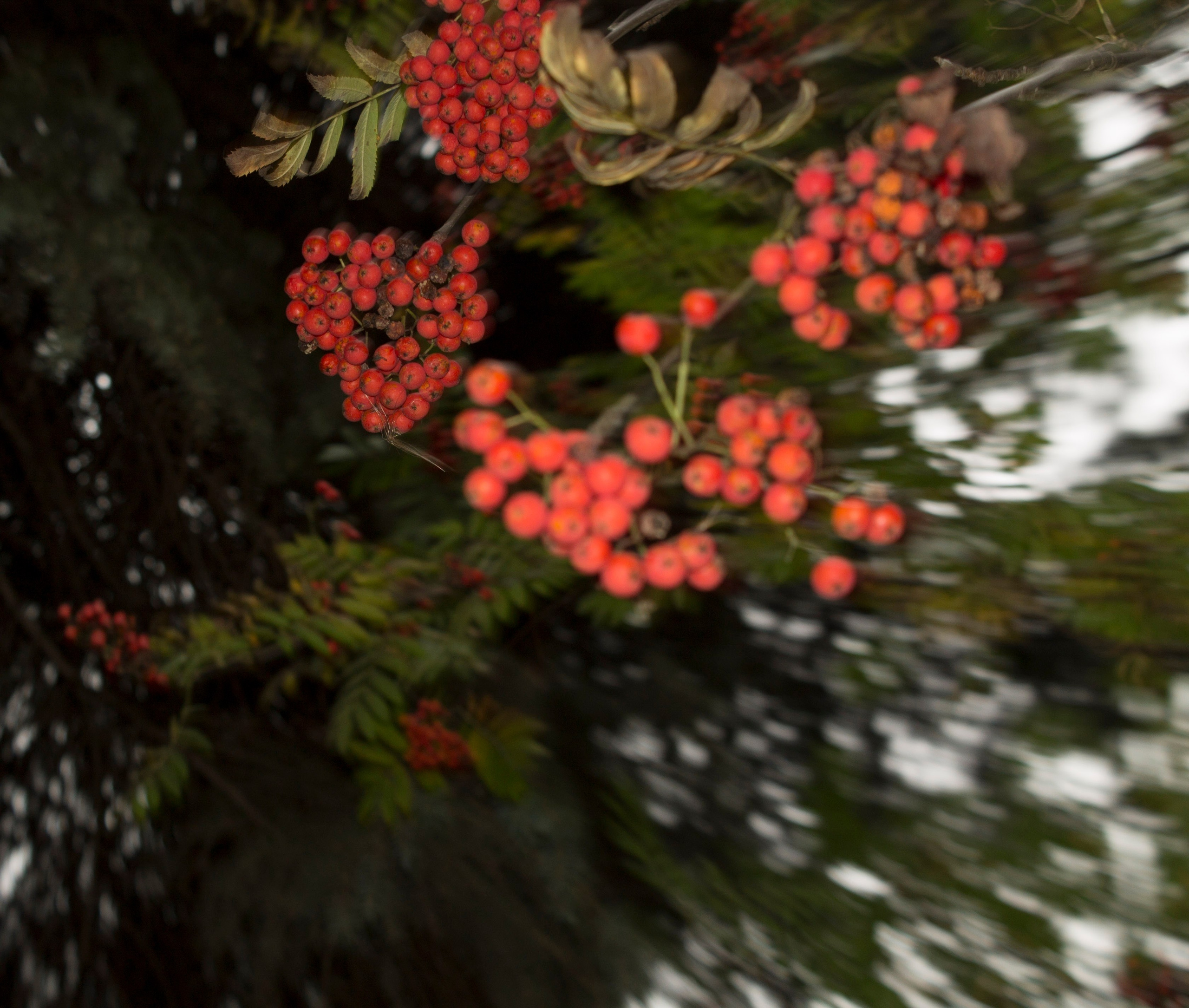 Мои первые работы. Фотограф из Москвы — DASHA NOVA | Авторская фотография в разных жанрах