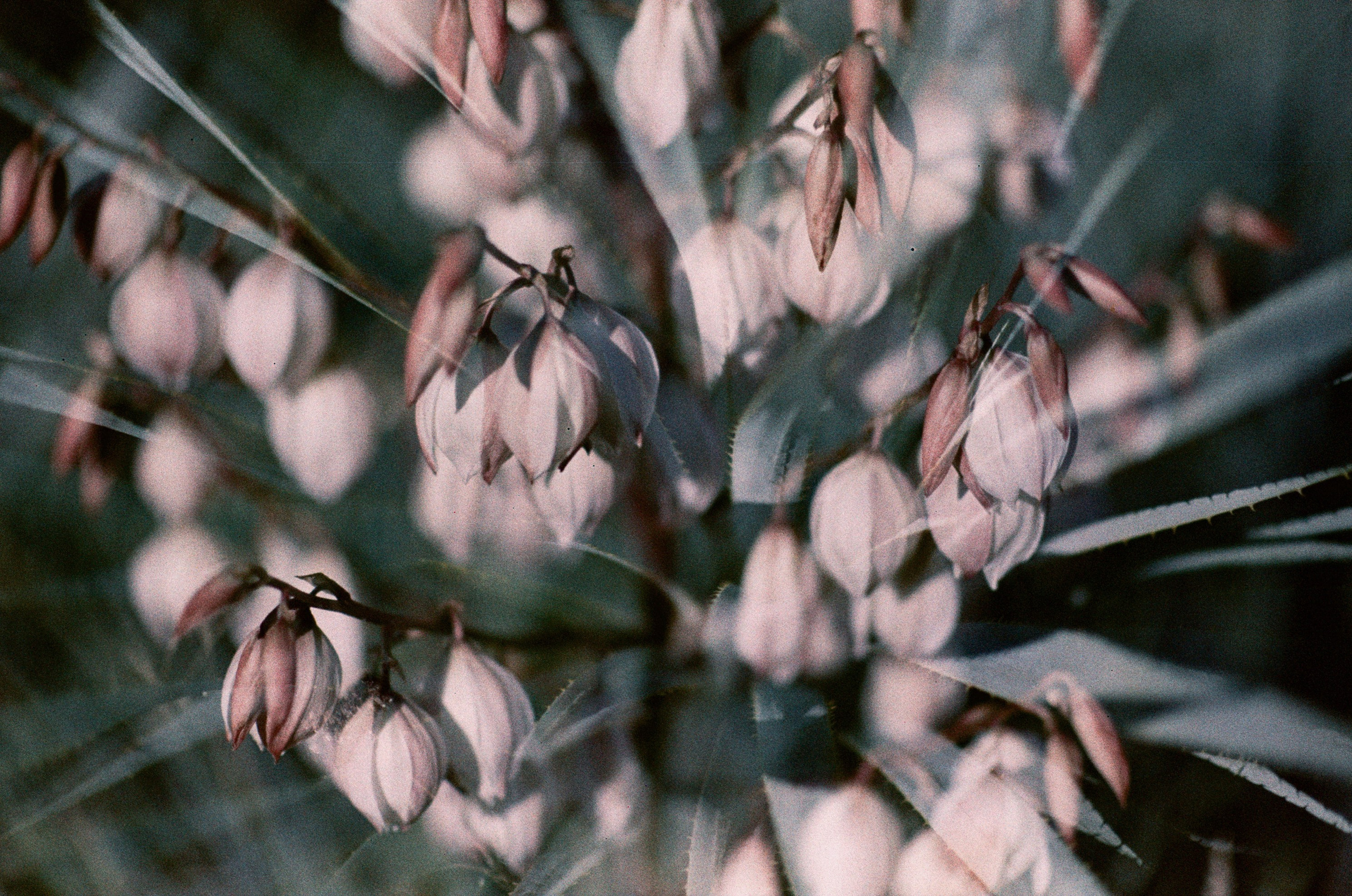 Pain shopping // ukraine, crimea. EVER EXPOSED