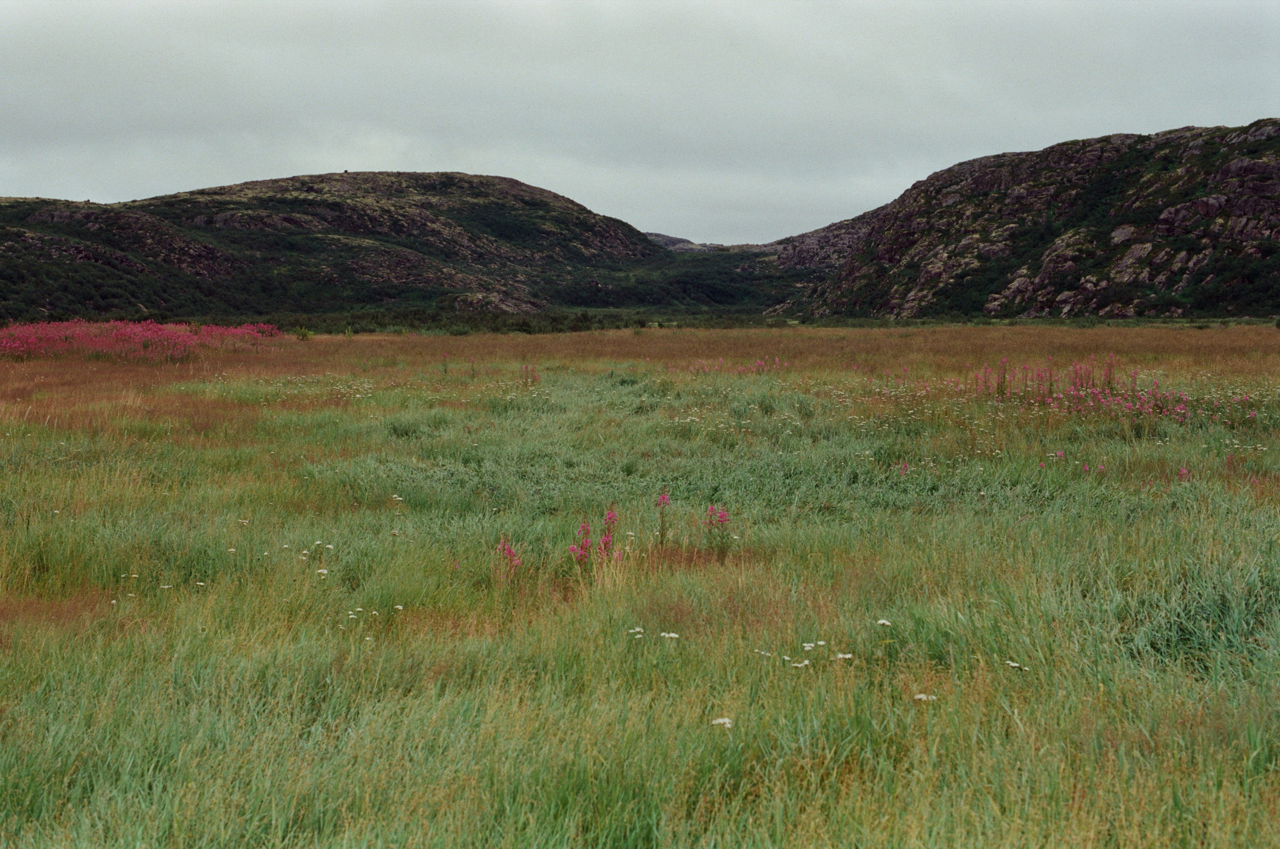 High and dry // teriberka. EVER EXPOSED