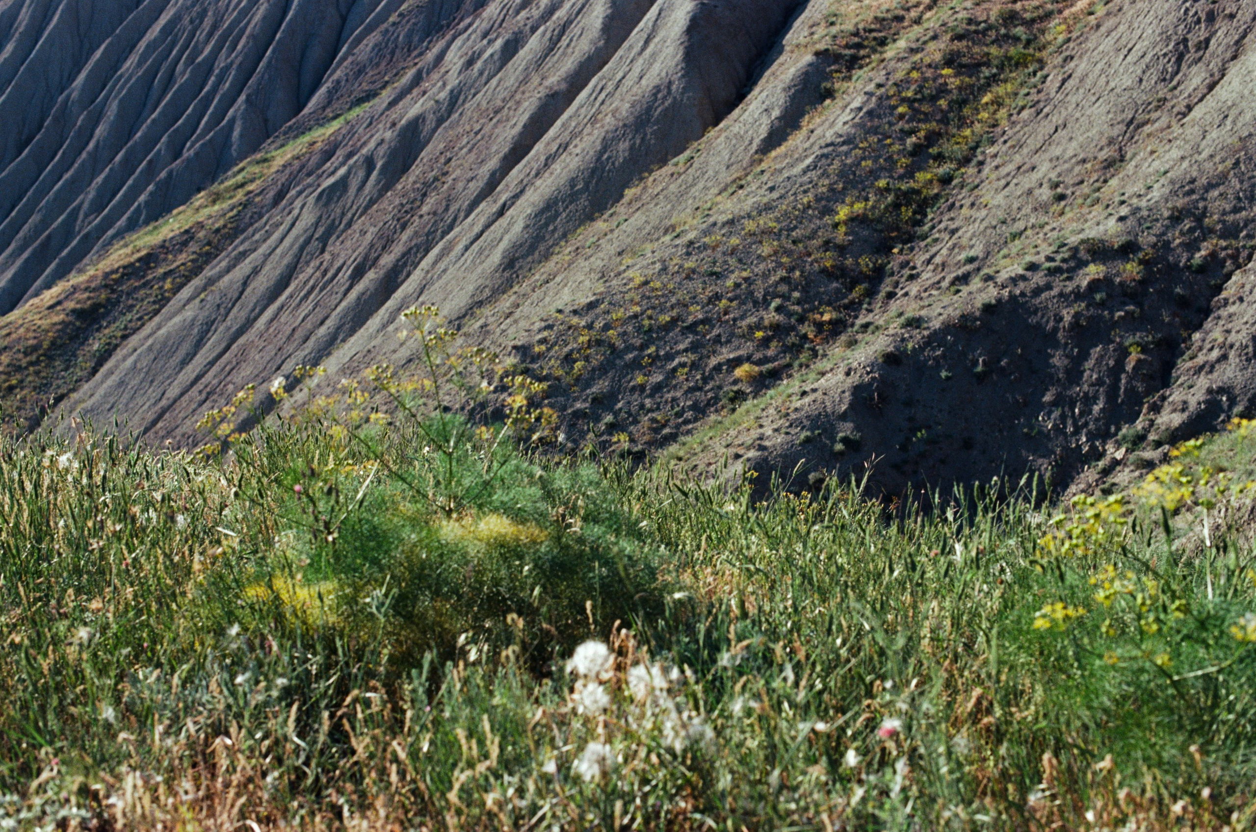 Kool-aid // ukraine, crimea. EVER EXPOSED
