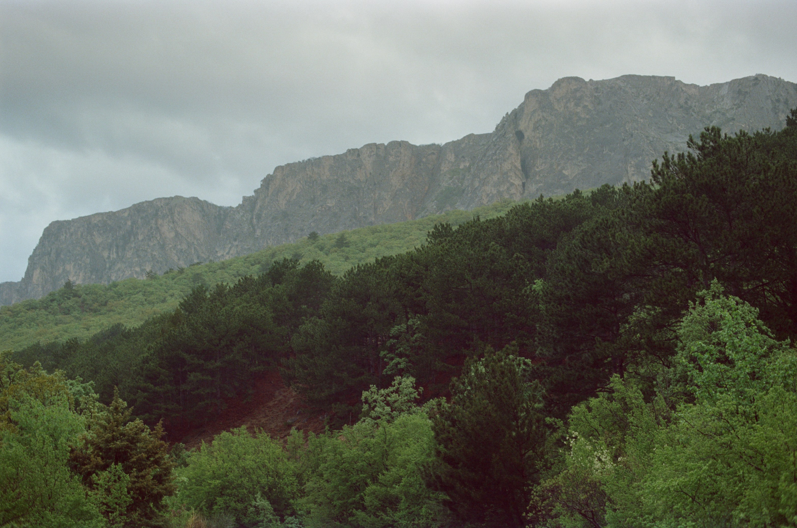 Follow you // ukraine, crimea. EVER EXPOSED