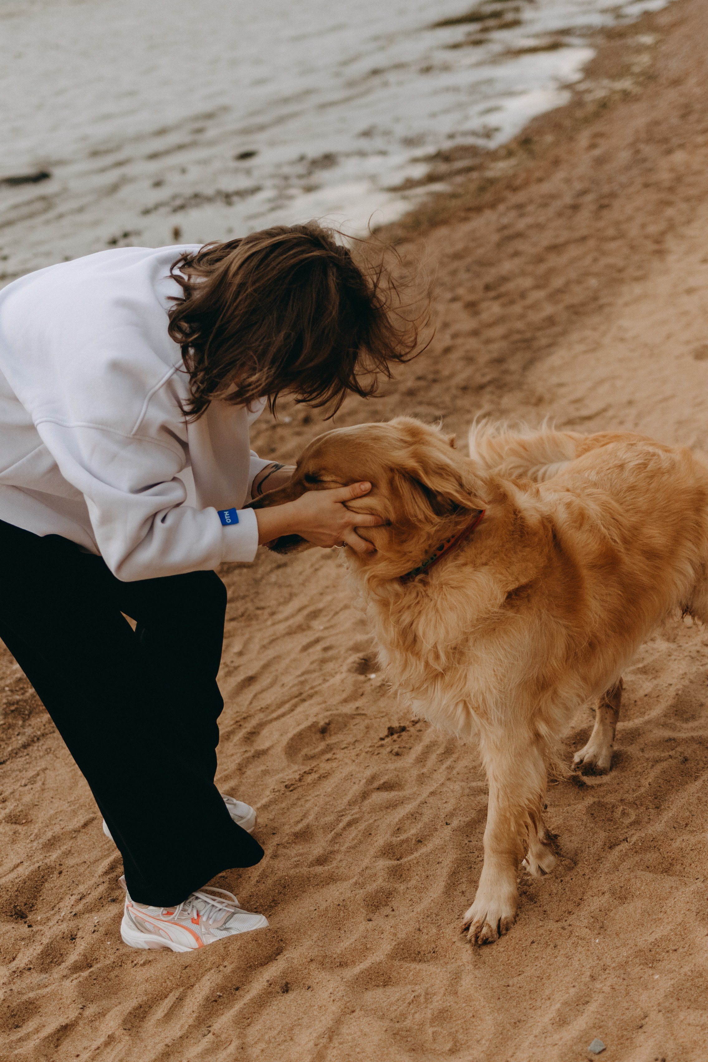 Фоси и его семьи. Фотограф — Анималист | Санкт-Петербург