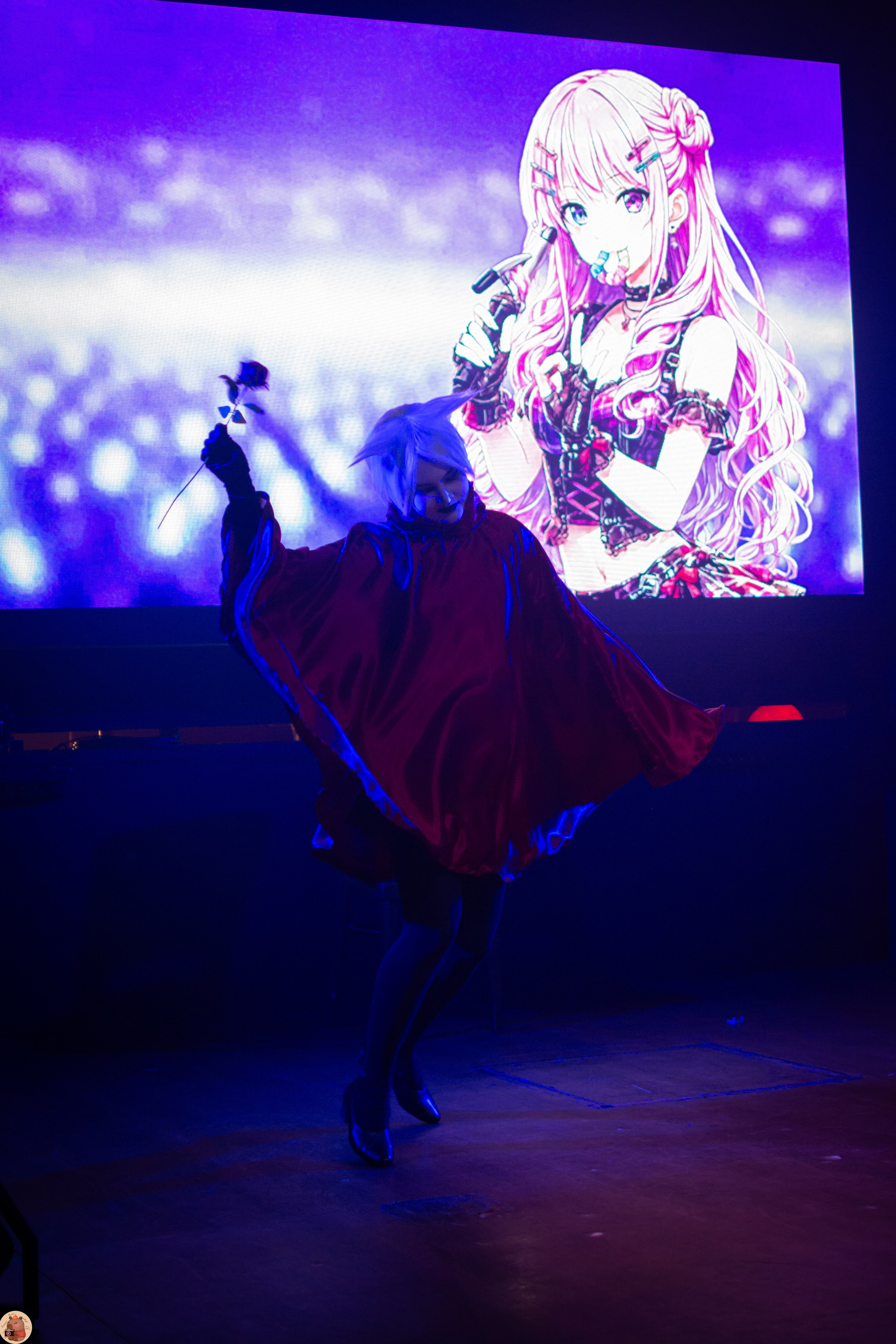 Hanami Party: You are the perfect idol. Пруд Капибарки