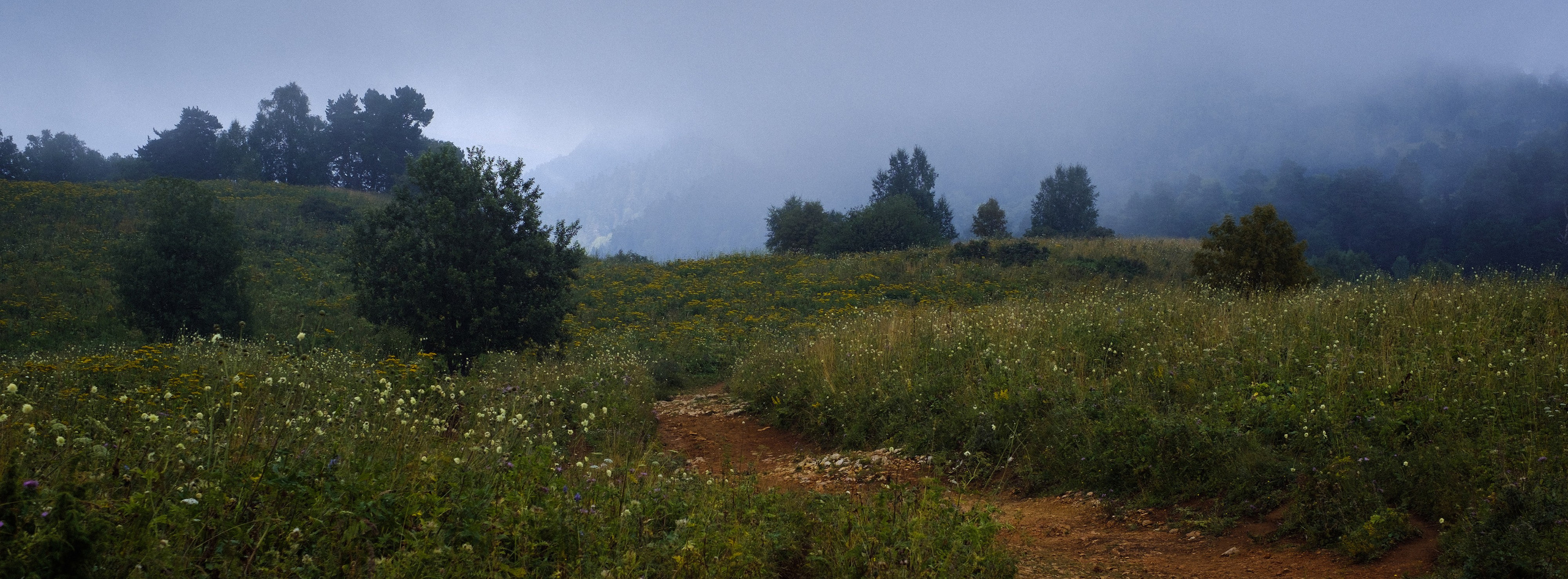 Тридцатка | август 2023