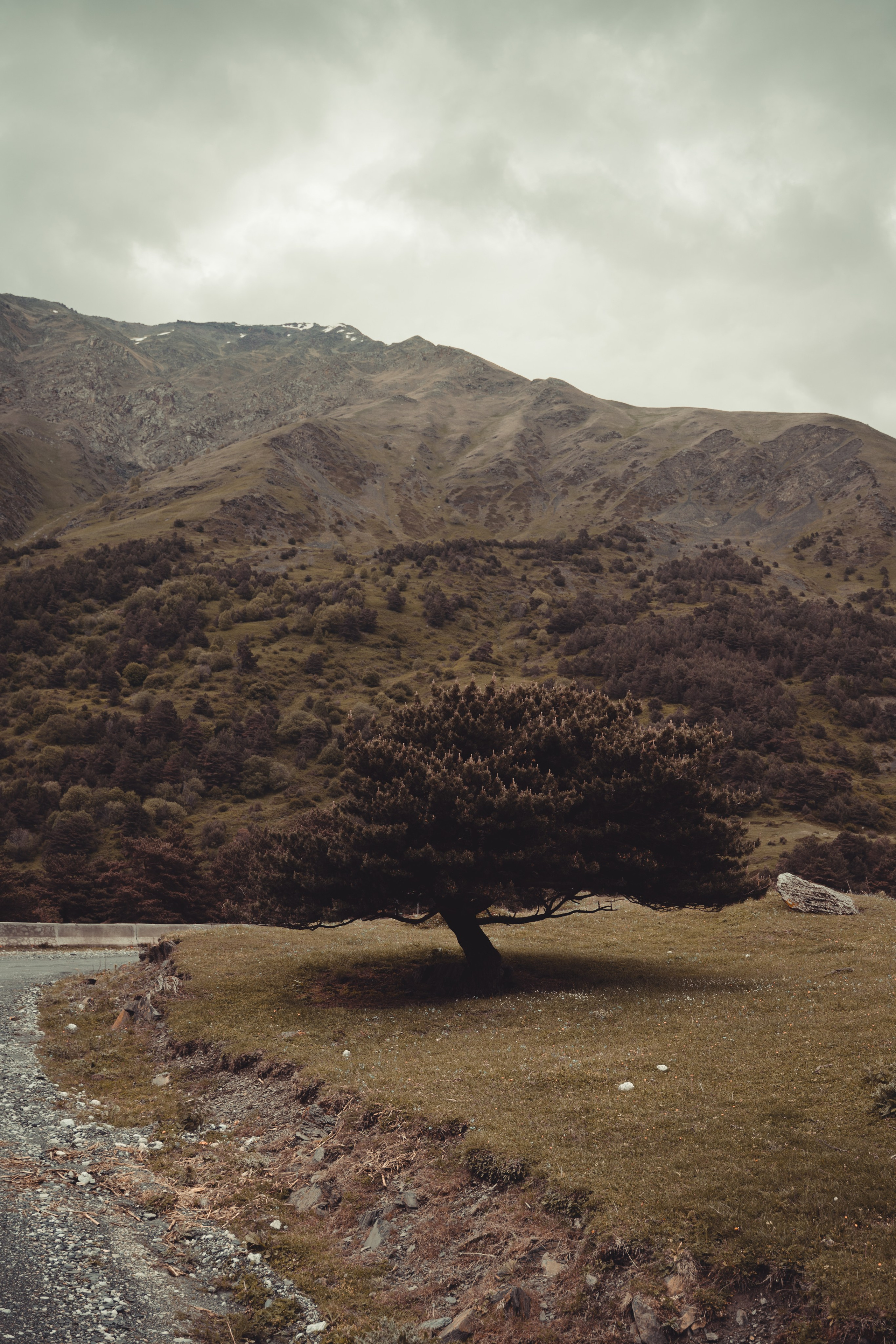 Пейзаж. Фотограф Кантемир Бараов