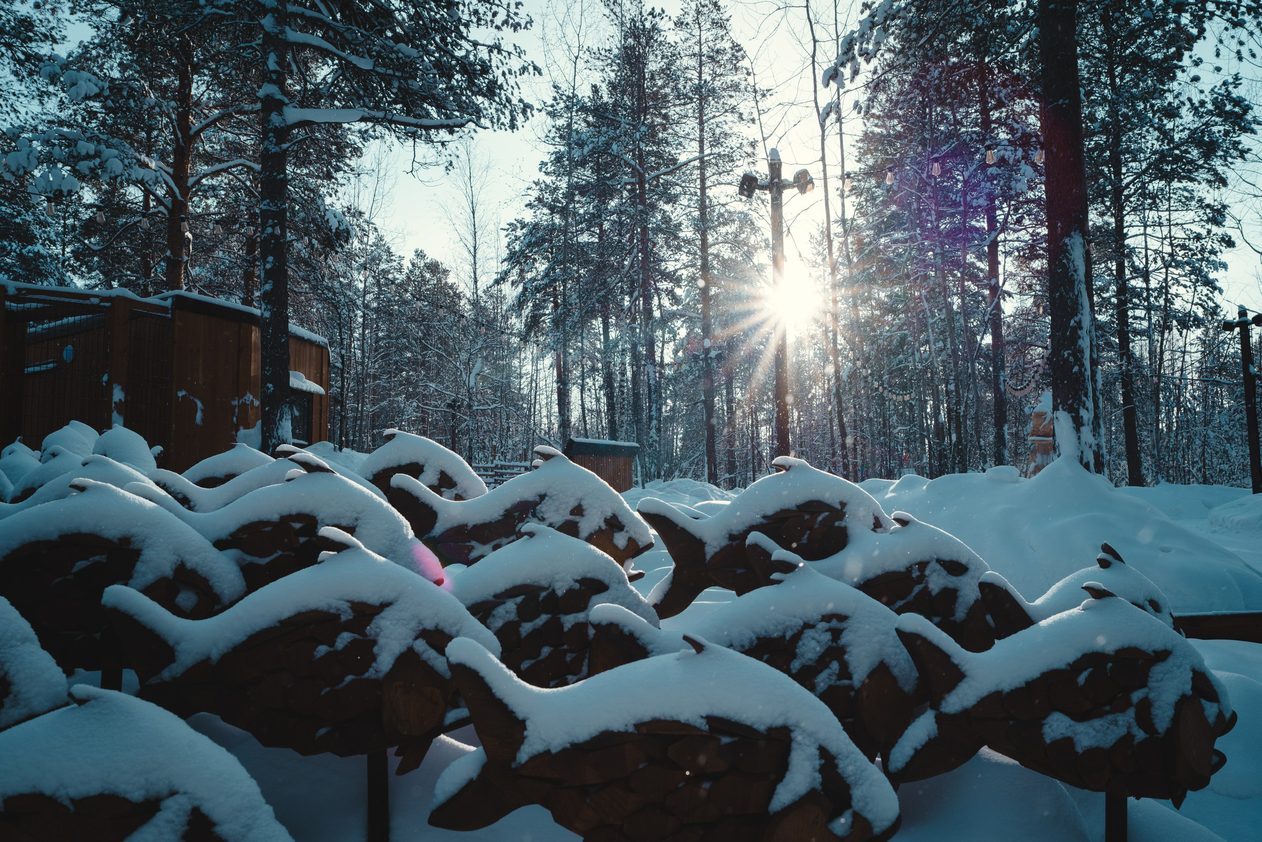 Ноябрьск, Март 2024