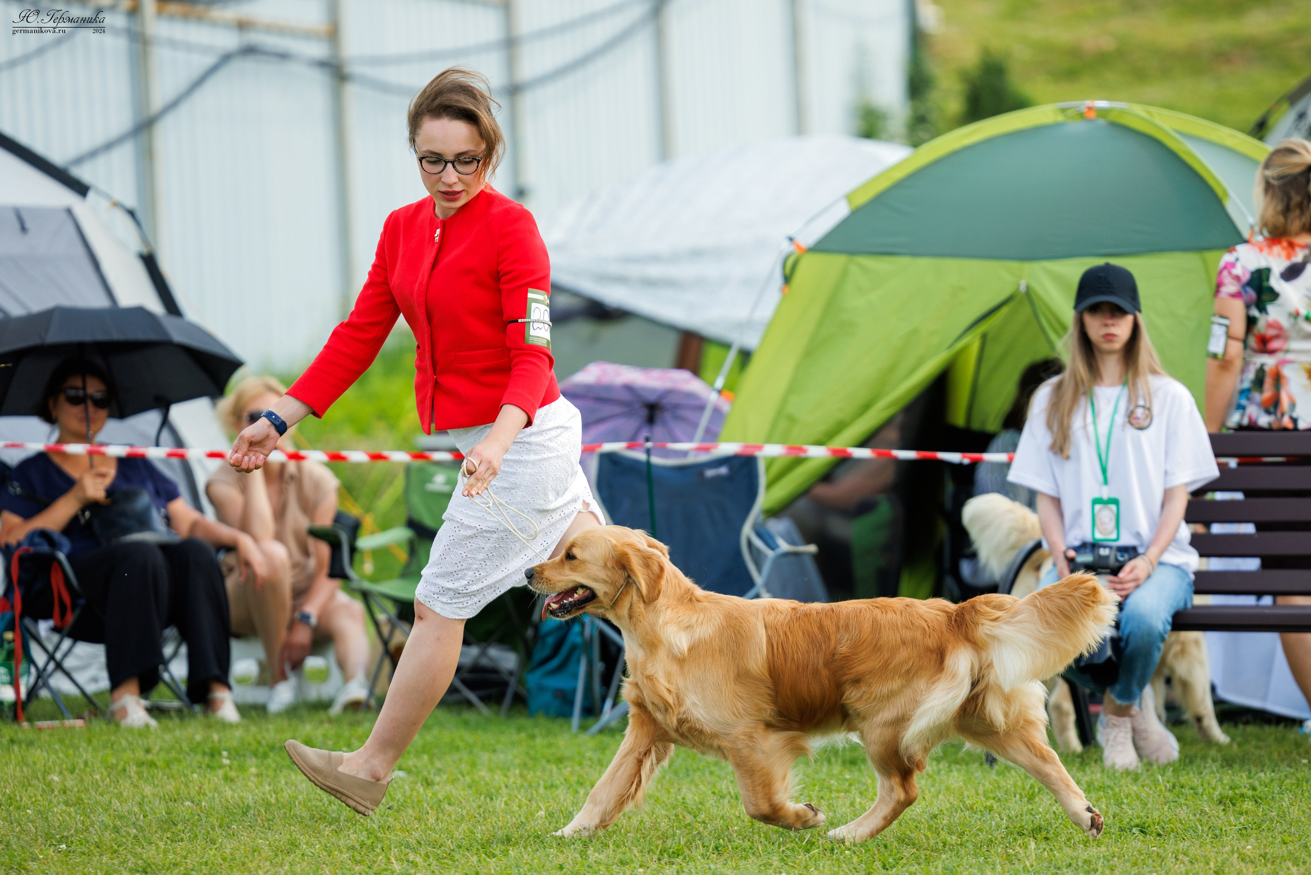 Голдены 15-16.06.2024. Фотограф-анималист Юлия Германика