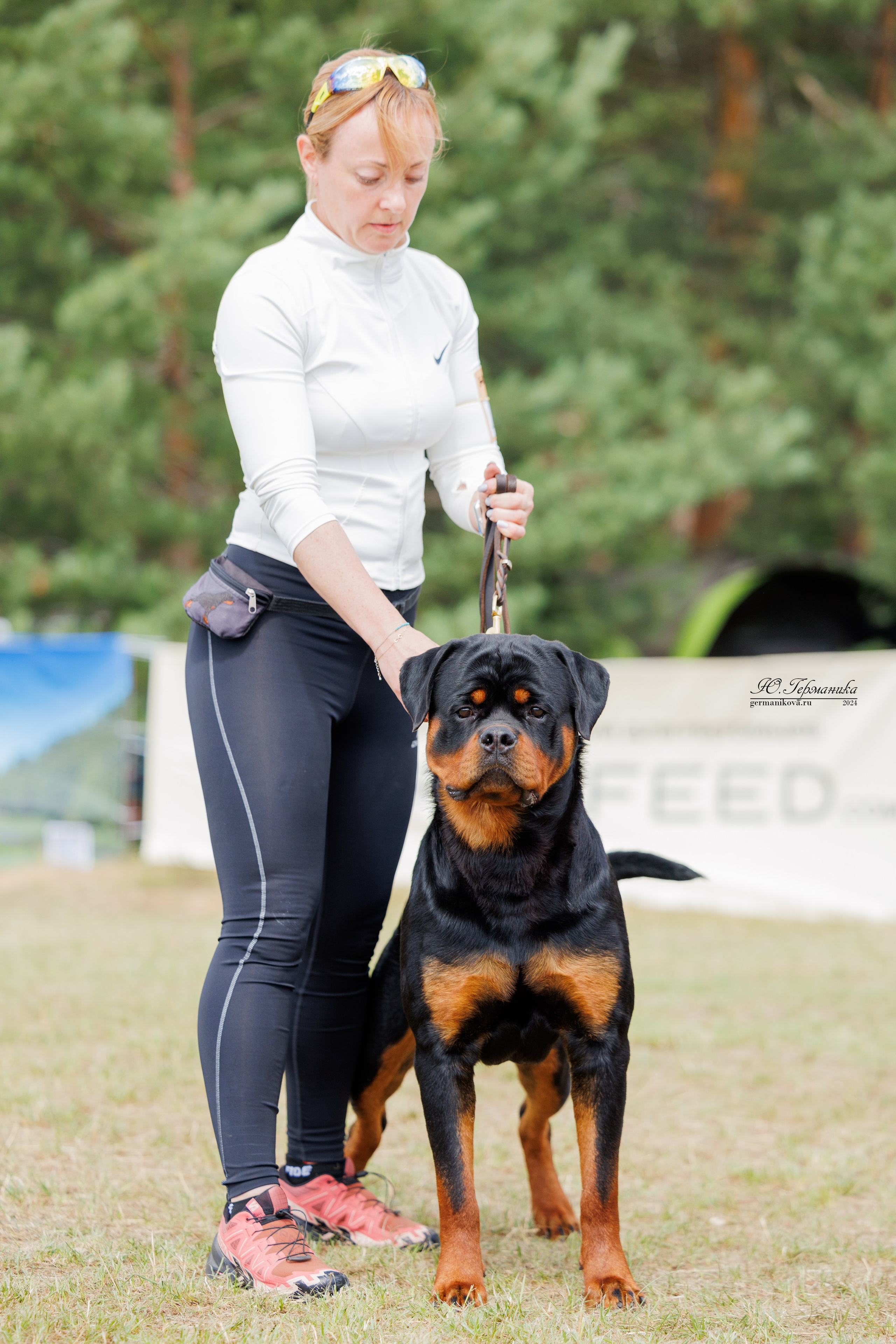 ПК и КЧК ротвейлеры Тверь 6-7.07.2024. Фотограф-анималист Юлия Германика