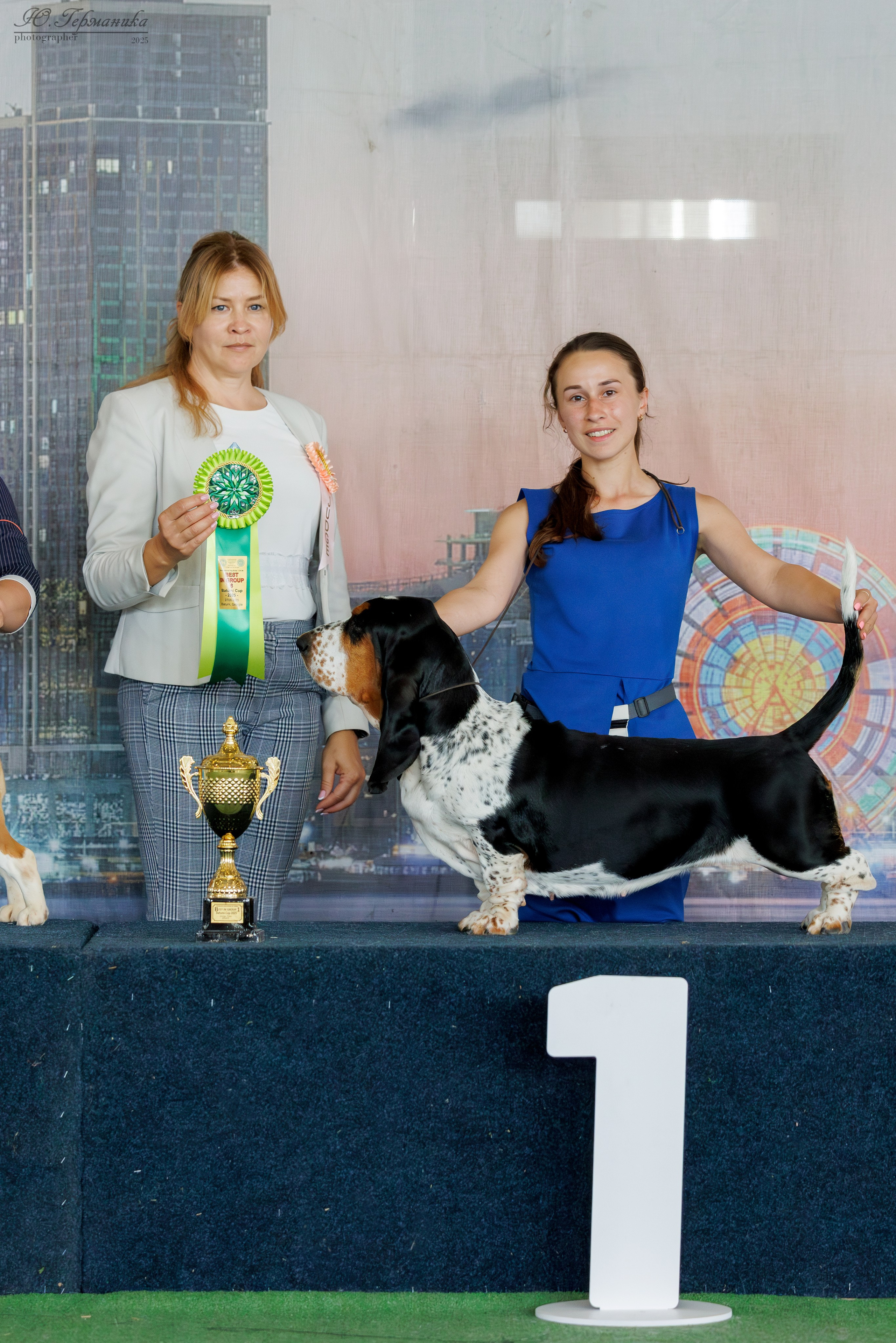 Батуми 3хCACIB 27-29.06.2025. Фотограф-анималист Юлия Германика