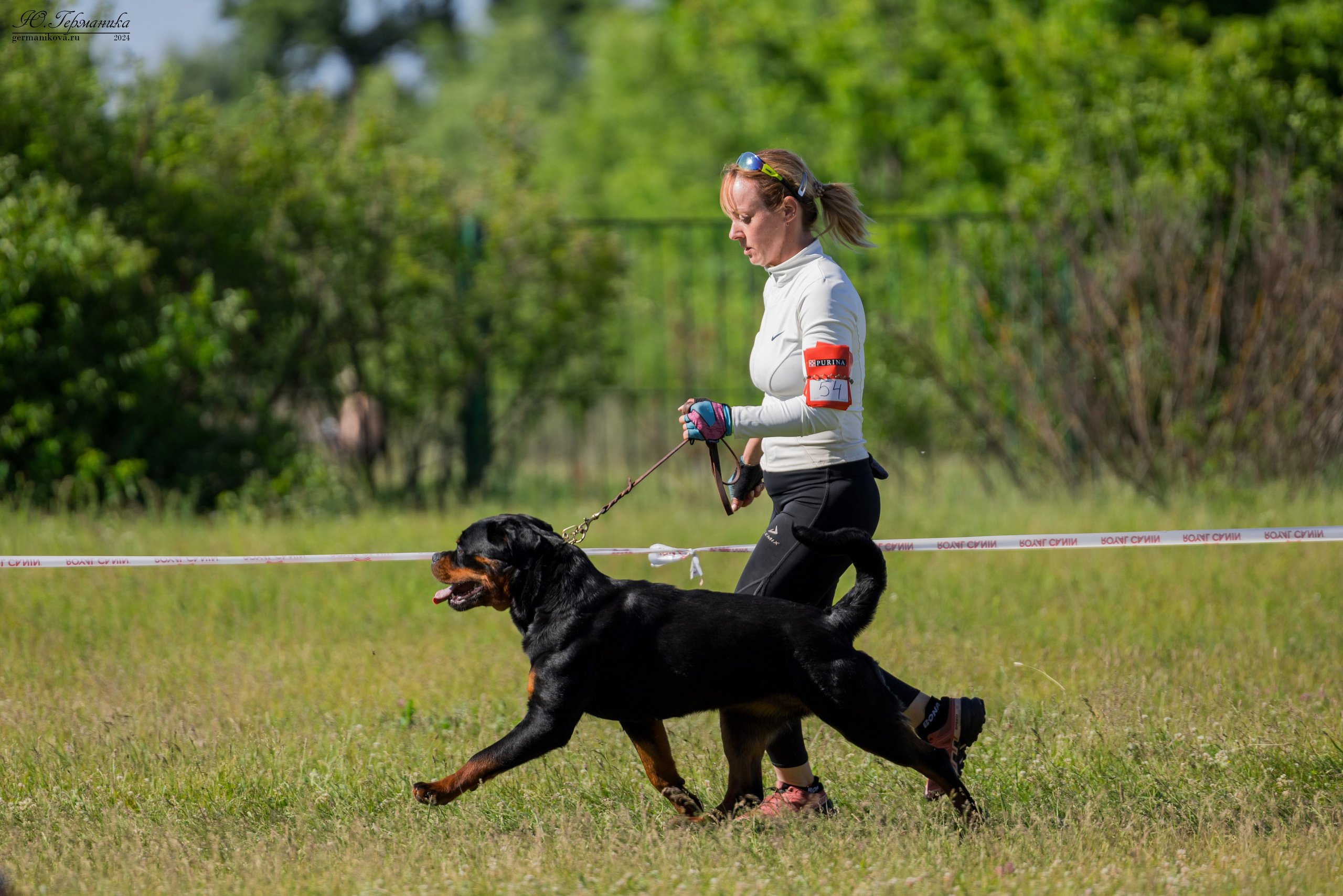 Воронеж моно ротвейлеров 25-26.05.2024. Фотограф-анималист Юлия Германика
