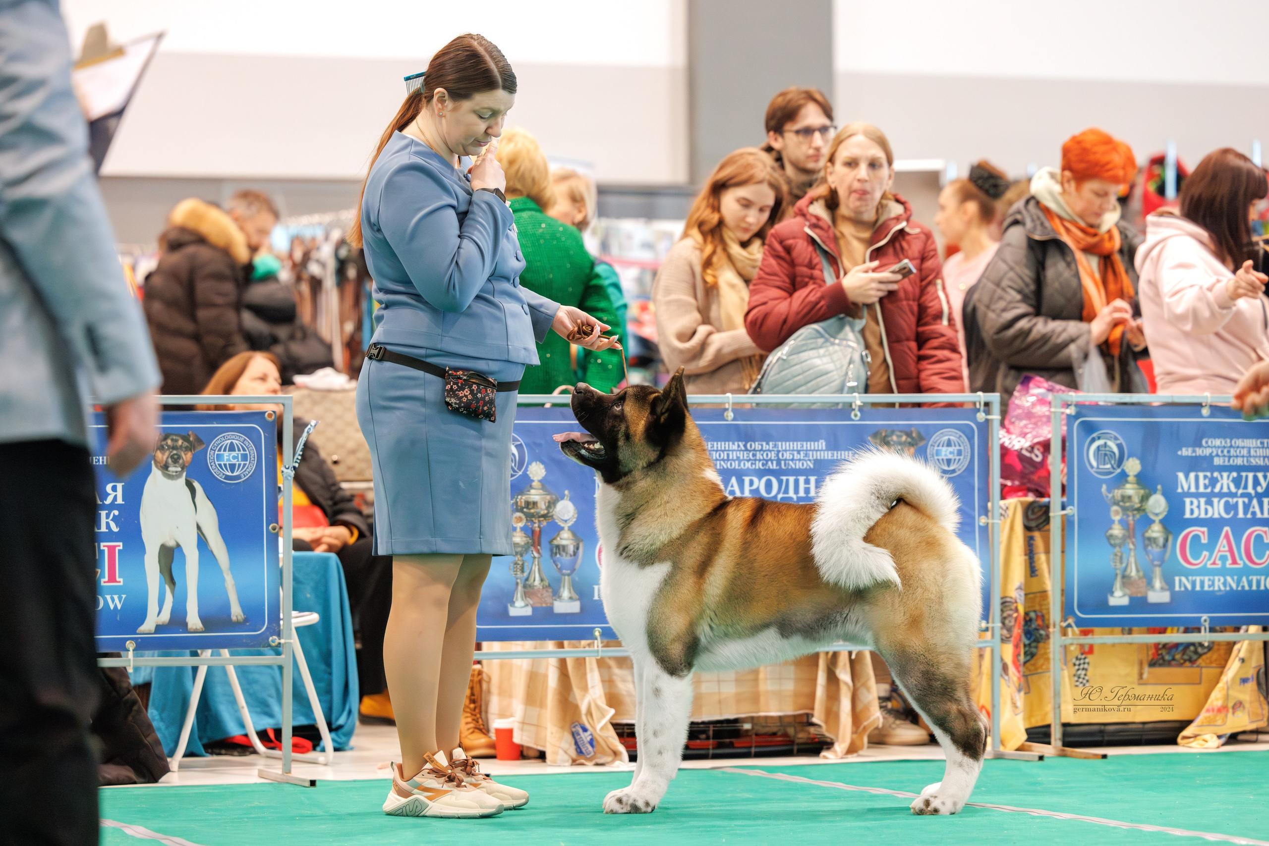 Минск 1-2.03.2025. Фотограф-анималист Юлия Германика
