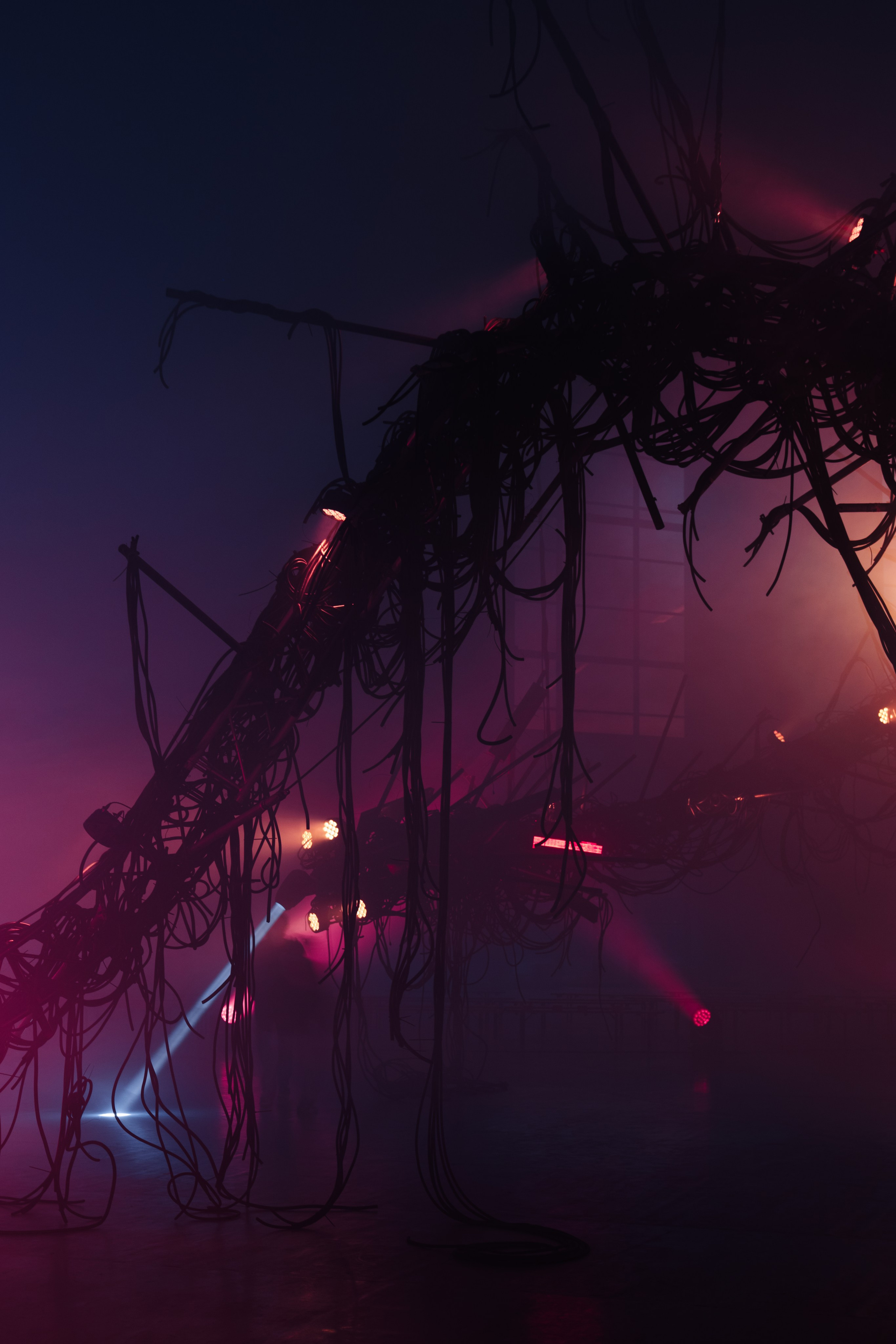 PANTERRA, CHRONOMORPH 001. @tomrus: Рустам Шагиморданов — фотограф