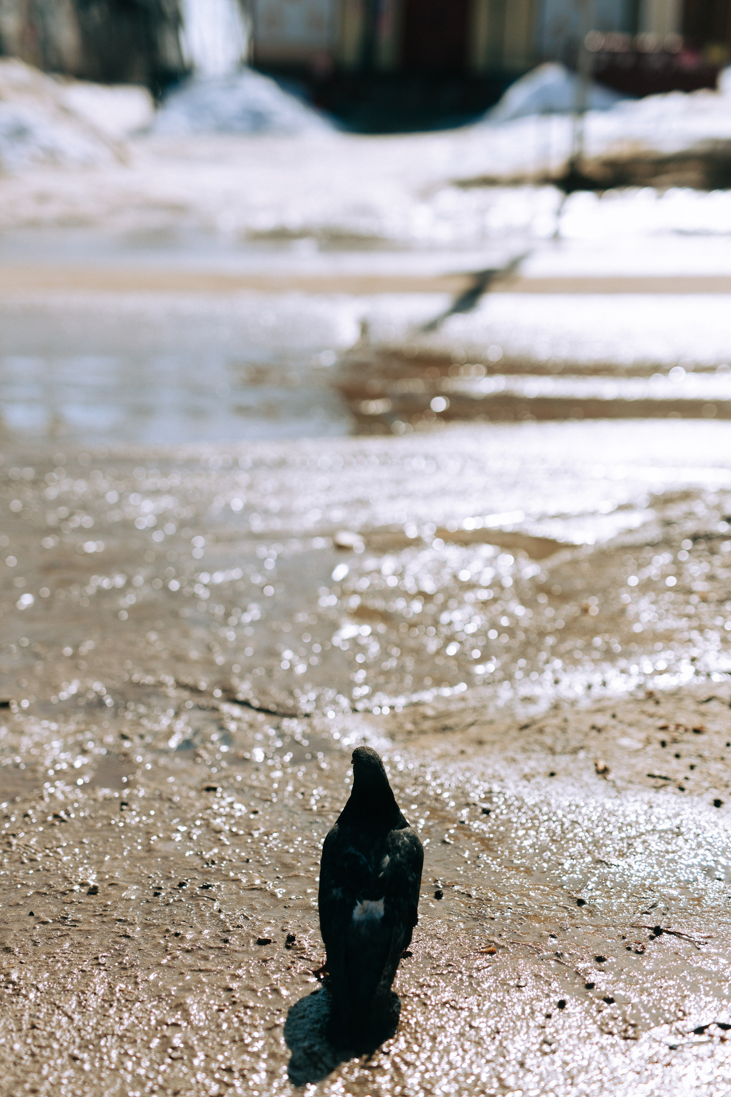 Ефремов. Свадебный и портретный фотограф — Мария Костина