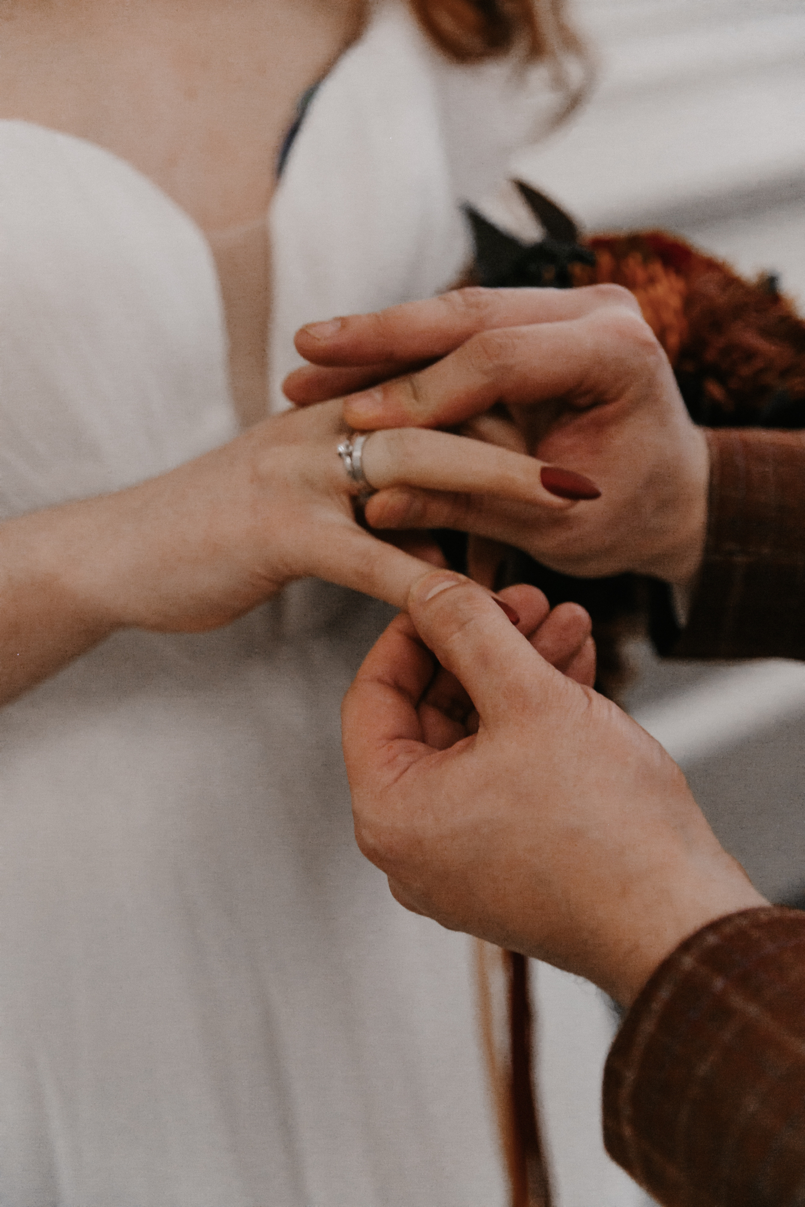 Вероника и Толя. Свадебный фотограф Наталья Балутутина. Россия-Европа-Мир