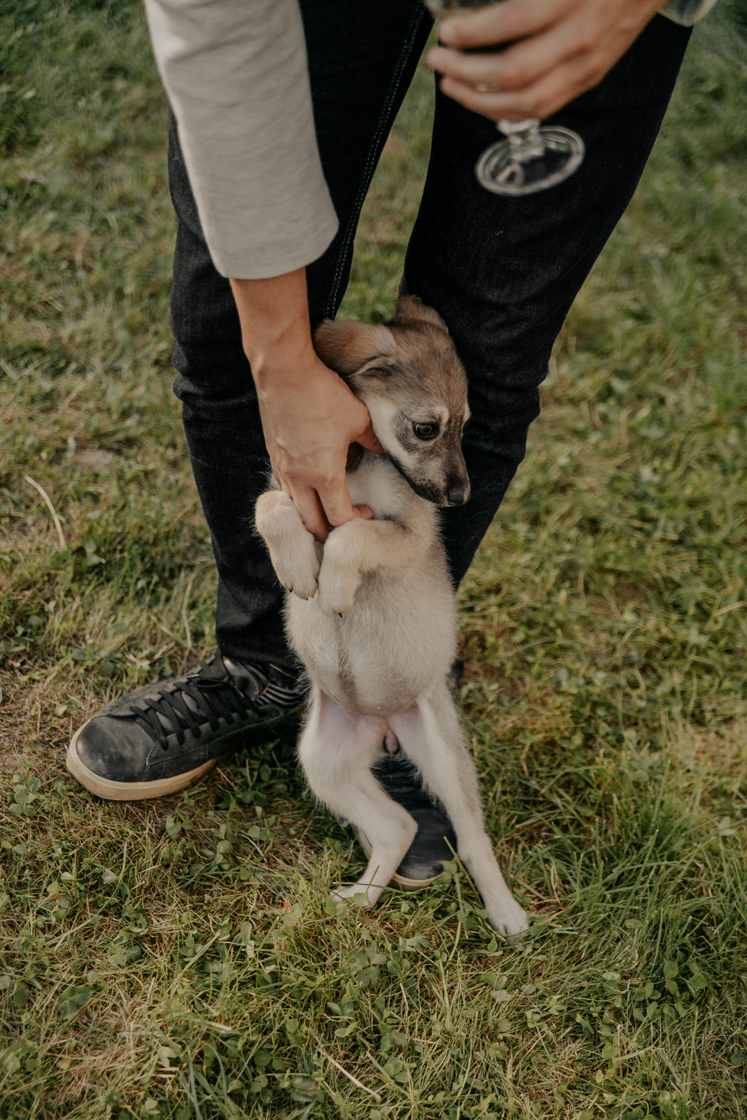 Аня и Родя. Свадебный фотограф Наталья Балутутина. Россия-Европа-Мир
