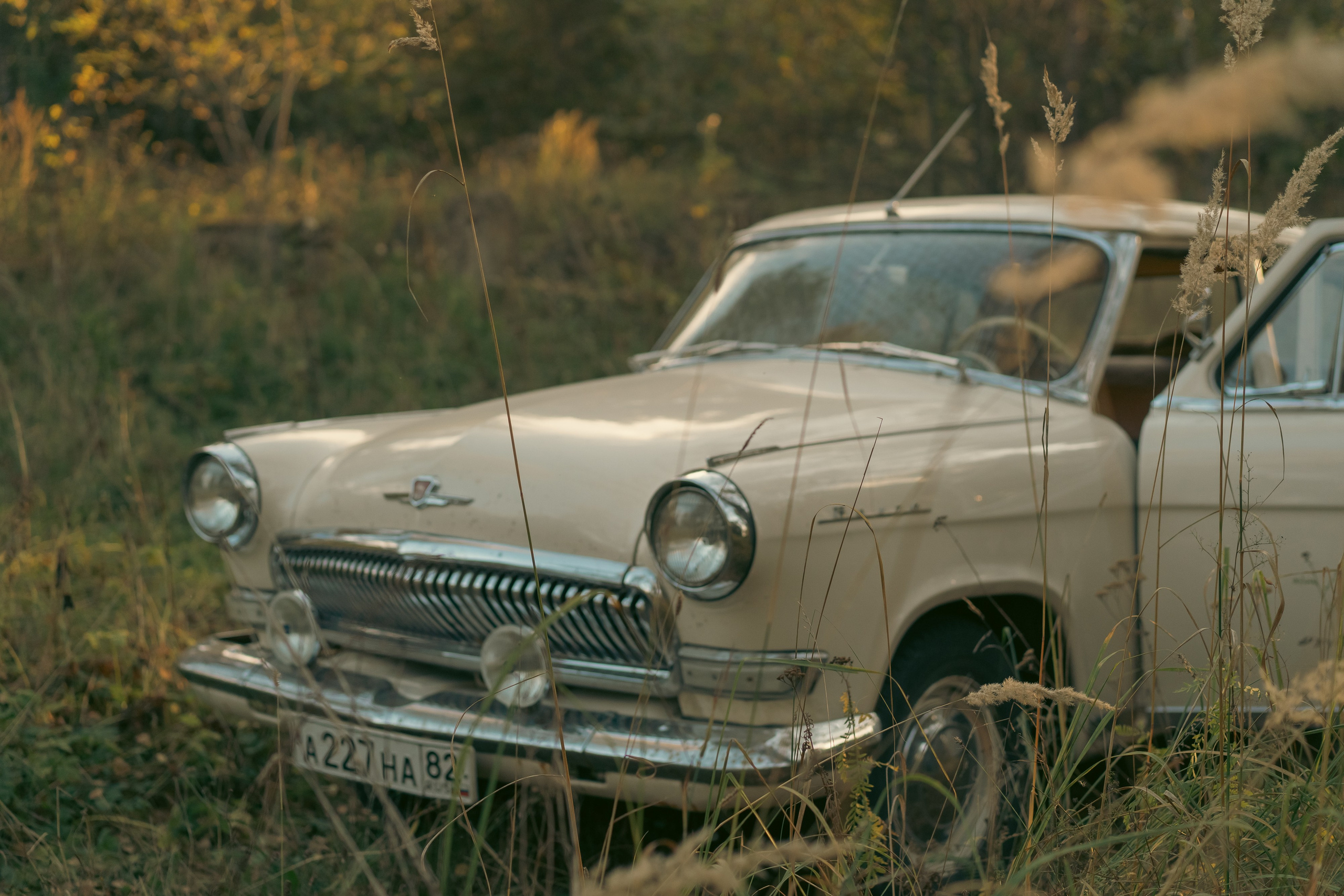 Семейная фотосессия в Заокском районе. Лиза Фирстова — самый добрый фотограф