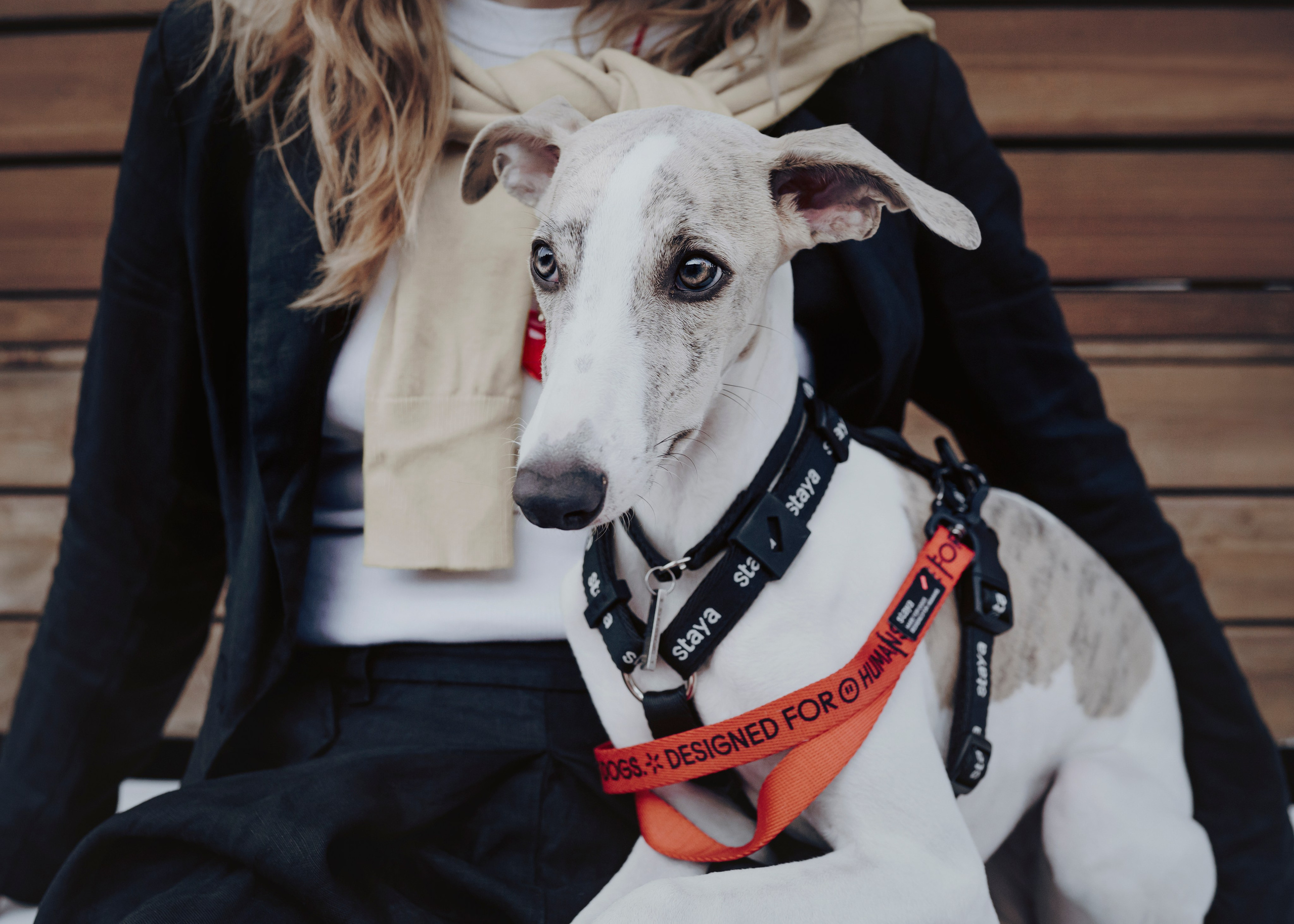 Ветка. Фотограф- анималист Александра Матвеева