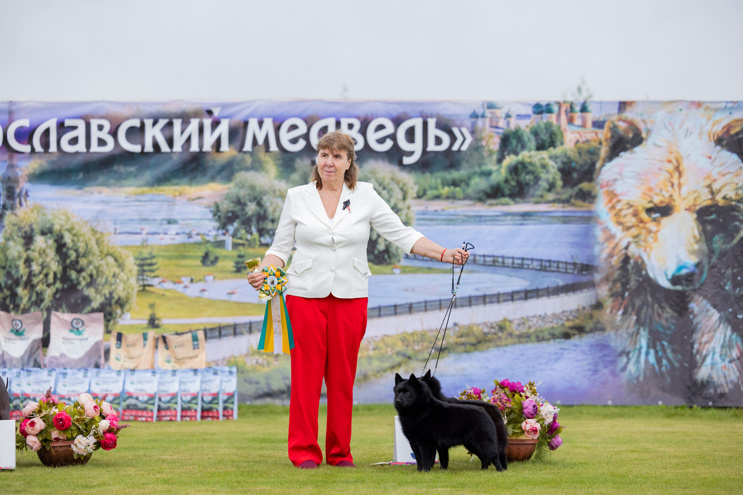 Ярославль 21.07.24 и Балашиха 13.07.24. Фотограф-анималист Юлия Германика