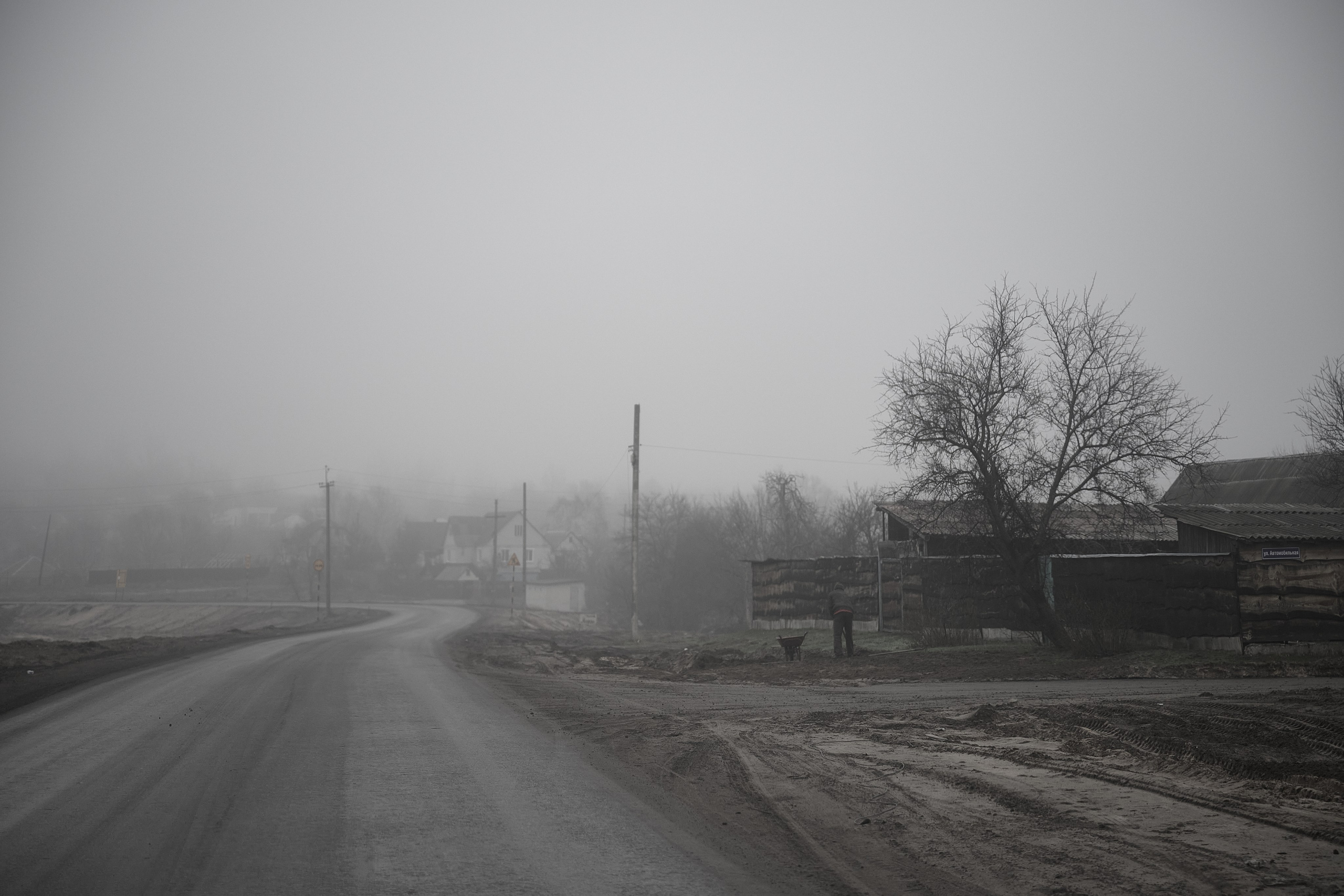 Дорога домой. Туман. Фотограф Роман Адлер