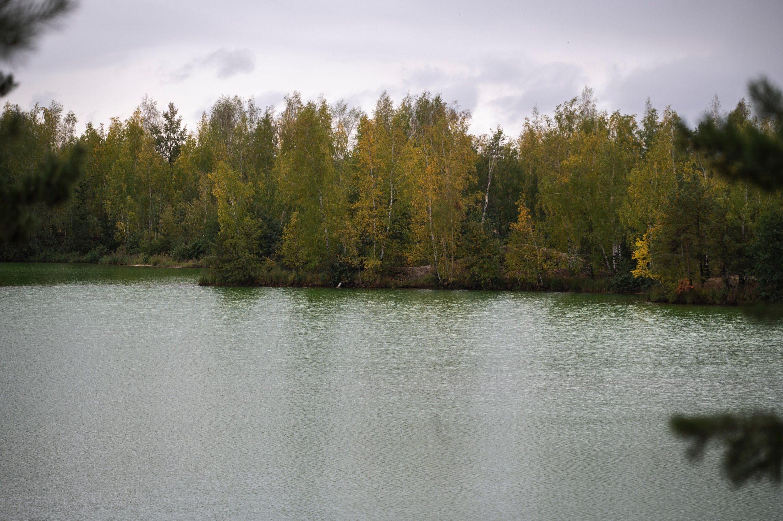 Фотопрогулка ДР. Фотограф Роман Адлер
