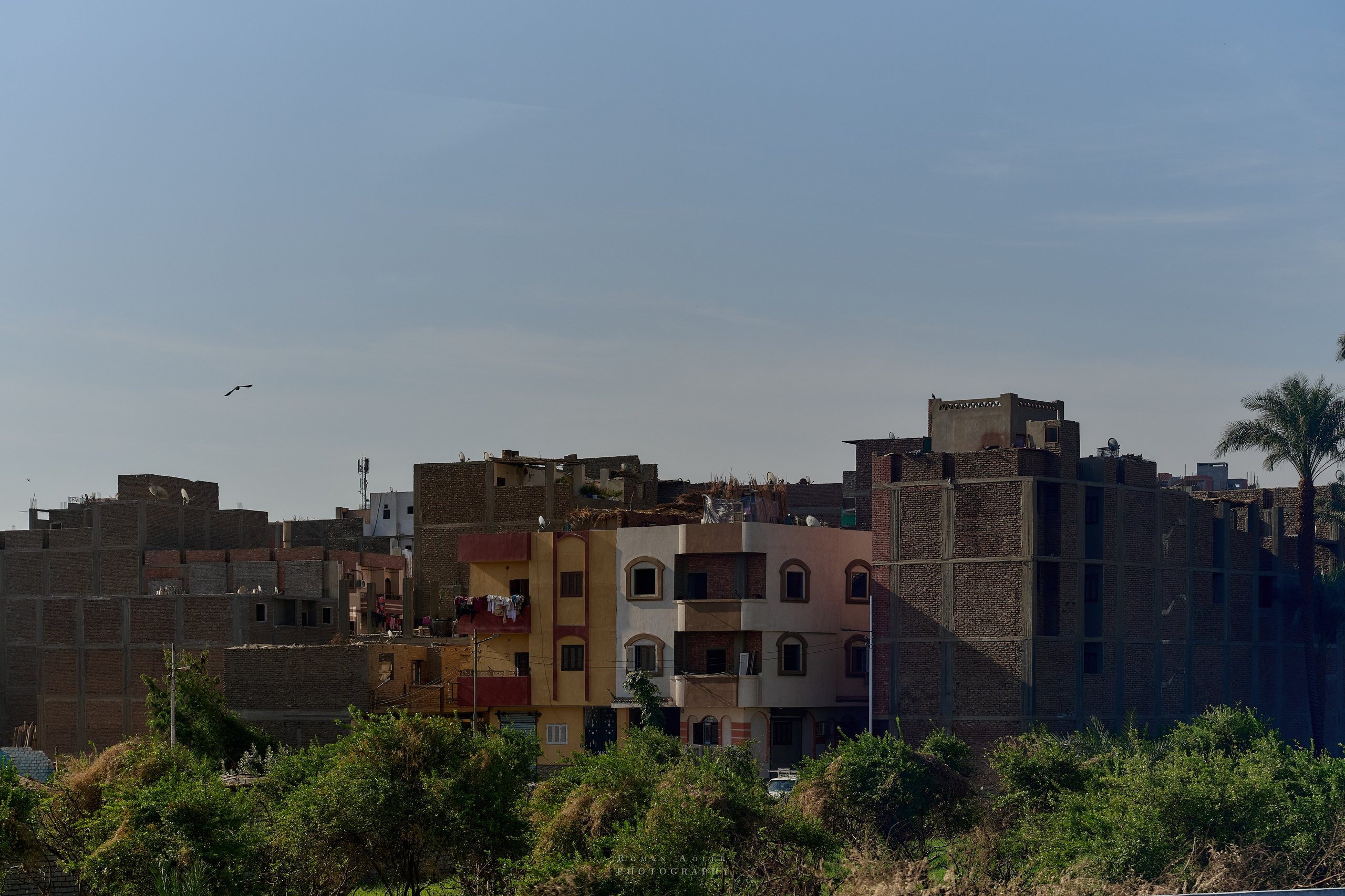 Луксор. Февраль 2025. Фотограф Роман Адлер