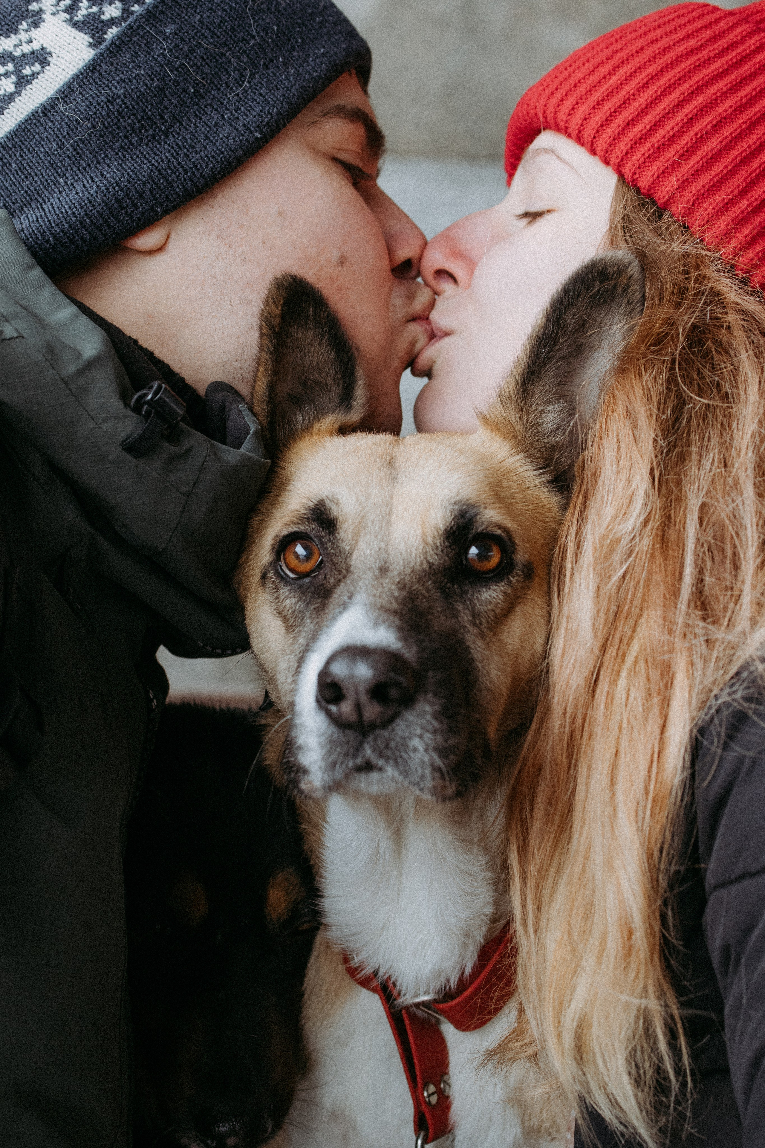 Саша, Ксюша и их банда. Фотораф — анималист Мария Шистка