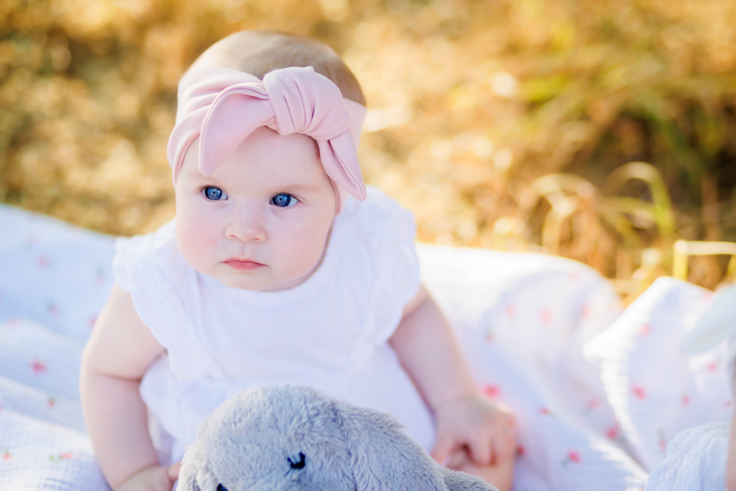 Прогулка на природе. Свадебный и семейный фотограф в Армавире