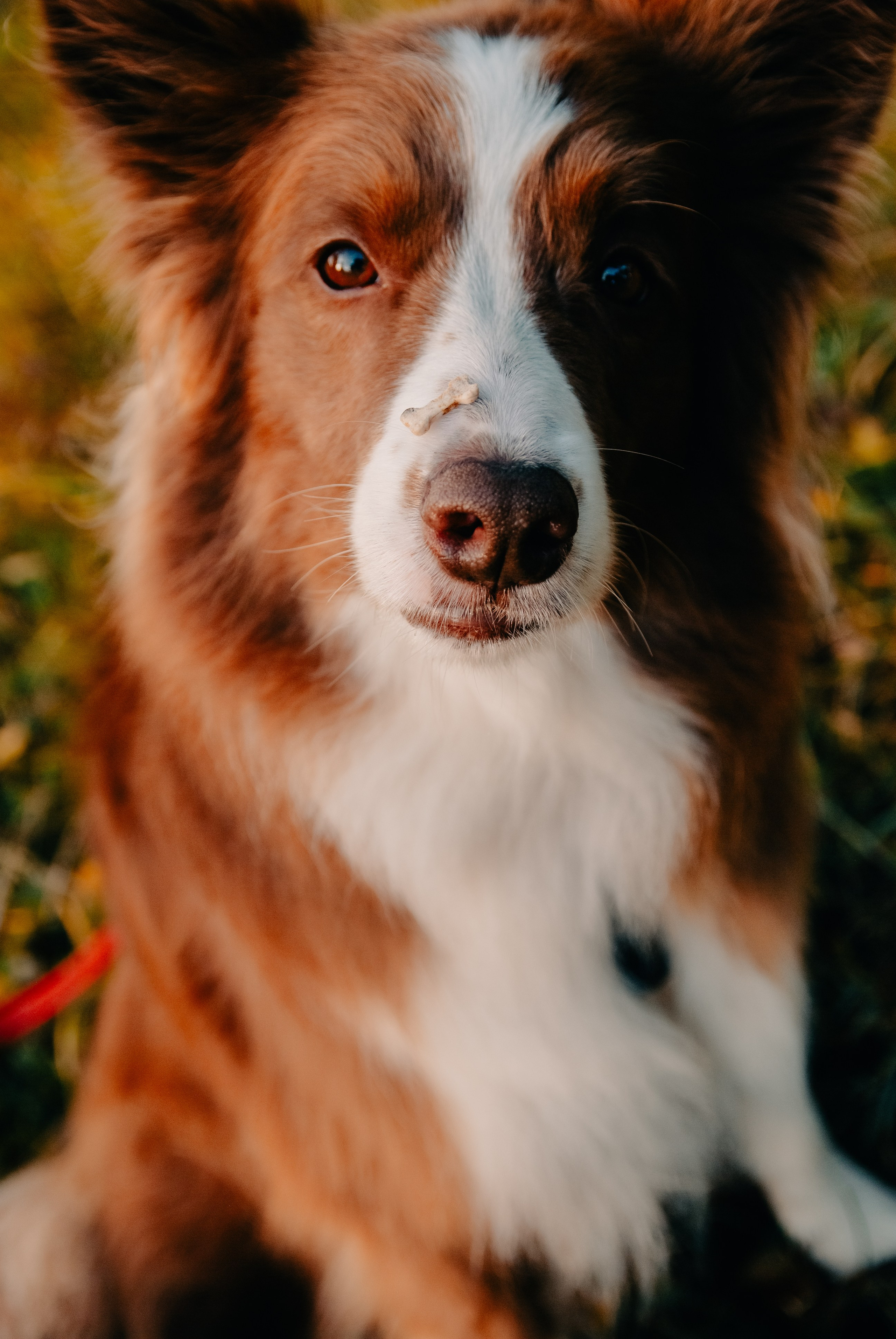 Зоопарк в моём багаже. Кошенкова Мария: портретный и репортажный фотограф. Санкт-Петербург
