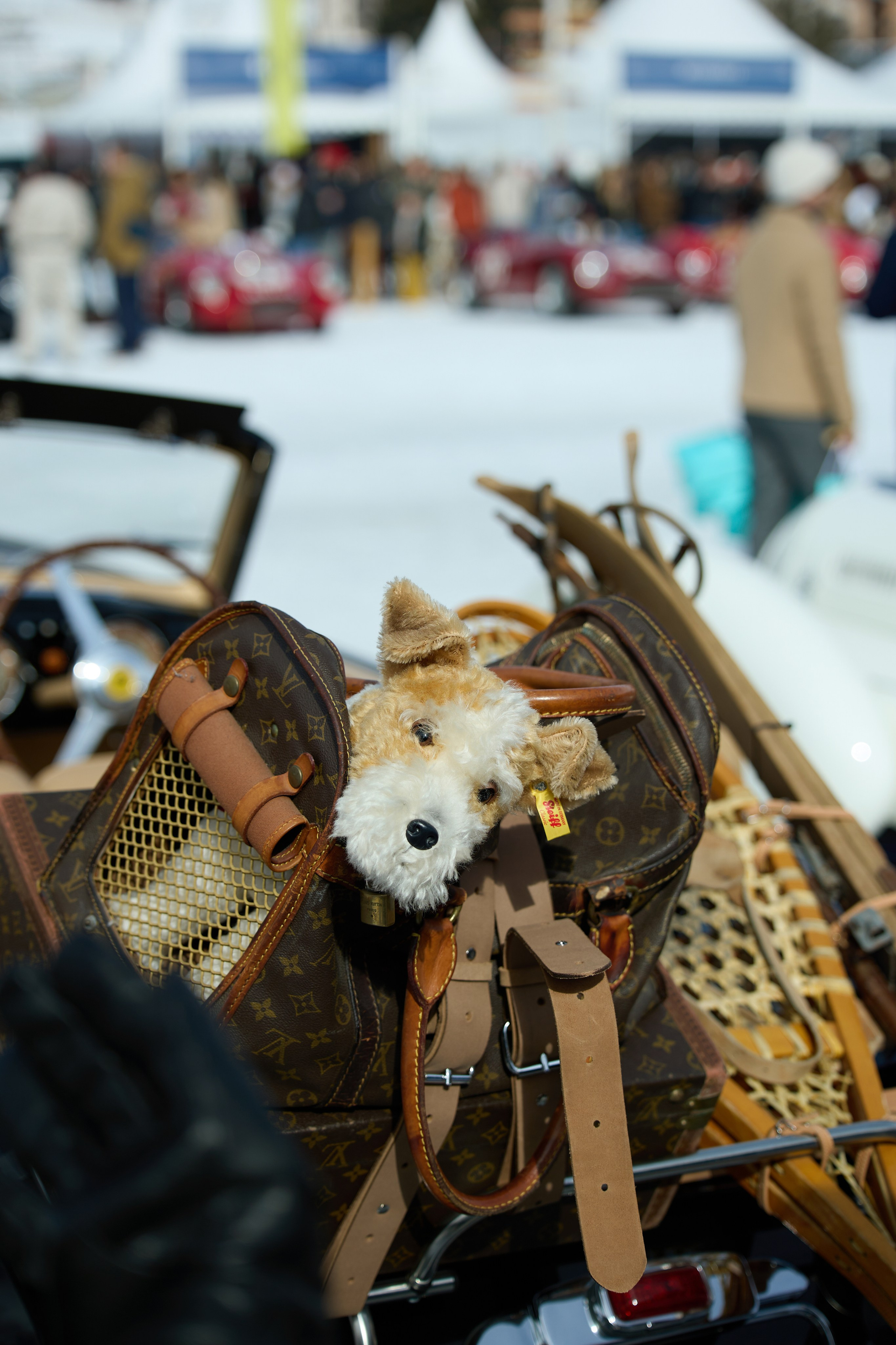 The ICE St. Moritz. Photographer in Milan Ivan Goncharov