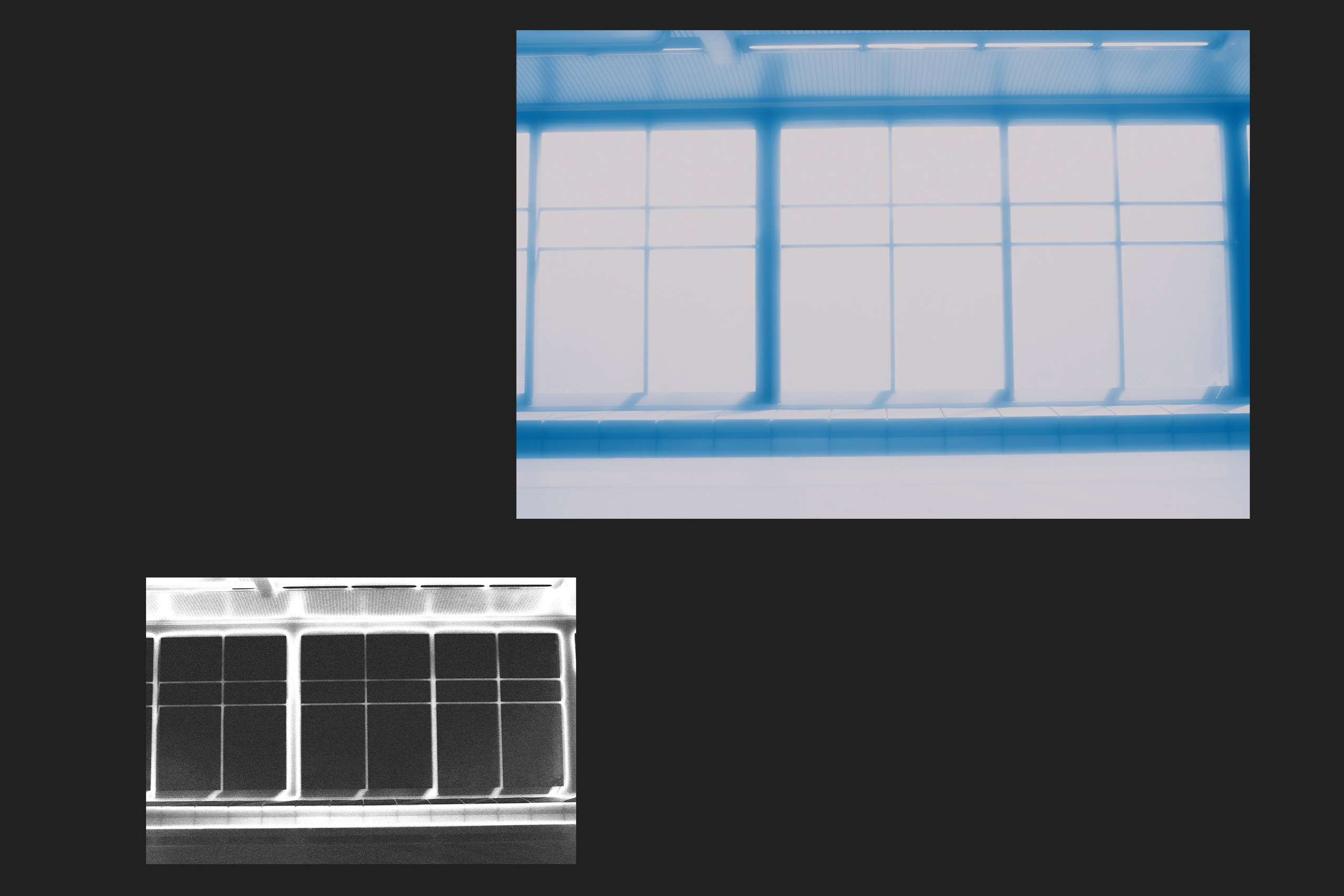 БЕЛЫЙ ШУМ. Фотограф Анна Васильева | Портретная и арт-фотография Москва