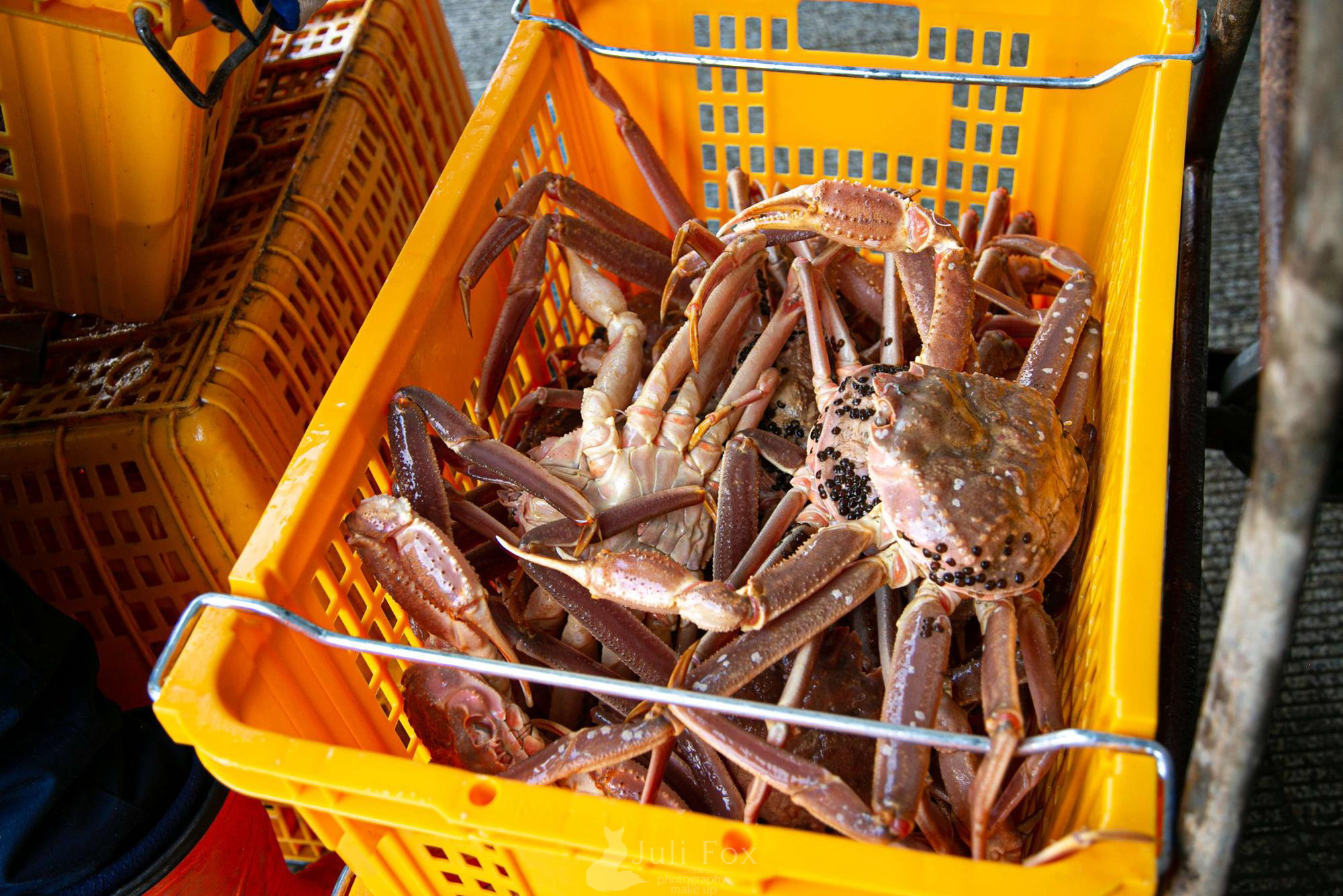 ФУДФОТО. ДЛЯ РЕСТОРАНОВ. КОНТЕНТ ДЛЯ СОЦСЕТЕЙ. Портретный, свадебный, репортажный фотограф во Владивостоке Юлиана Джули Фокс