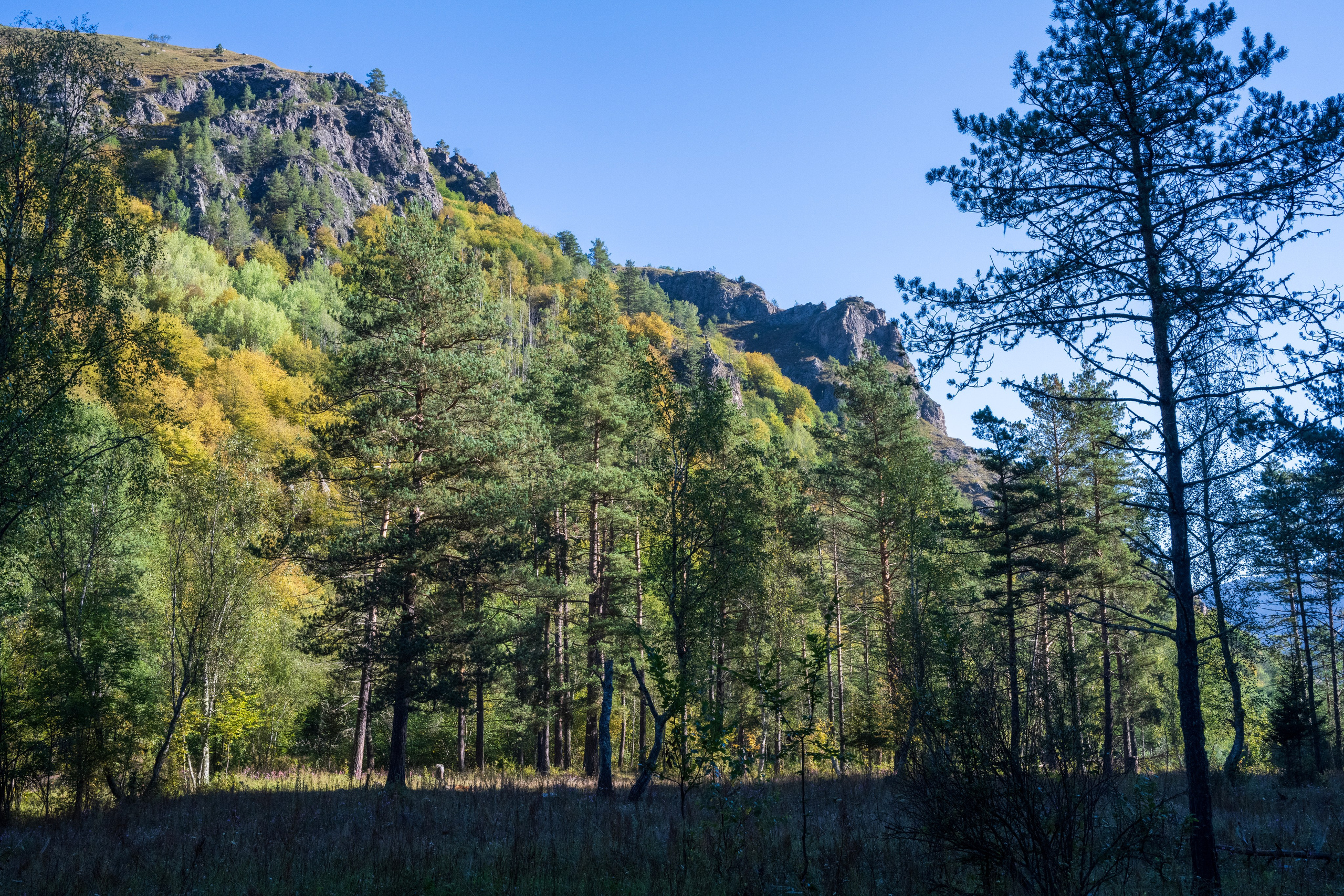 Экспедиция 2024