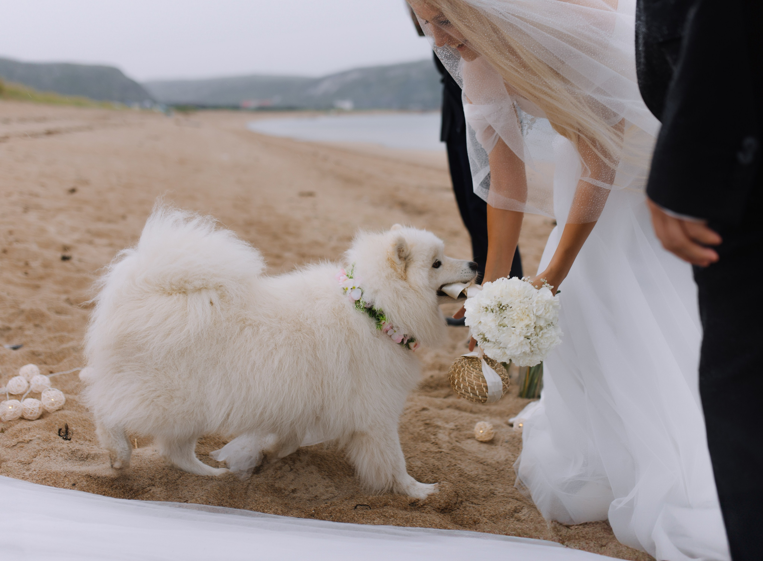 Свадьба в Териберке. Фотограф и видеограф в Мурманске, Москве Екатерина Нечаева