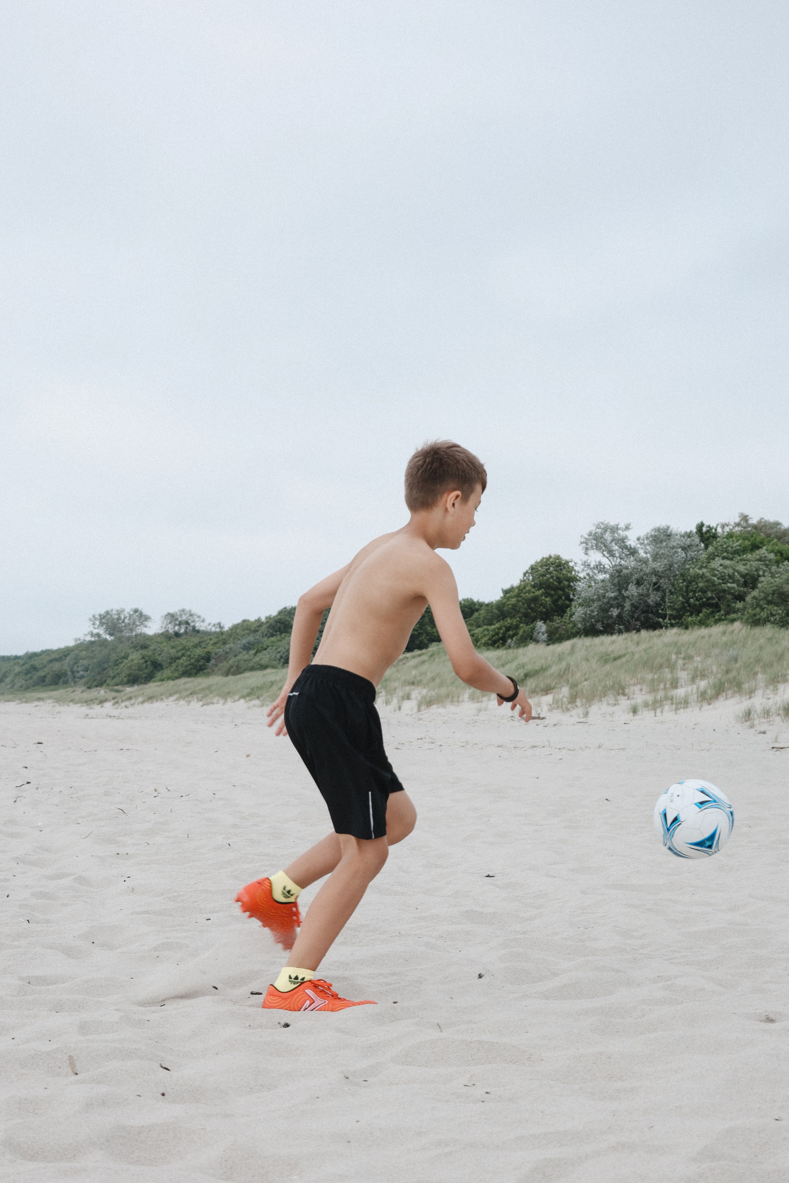 Mark. Главная