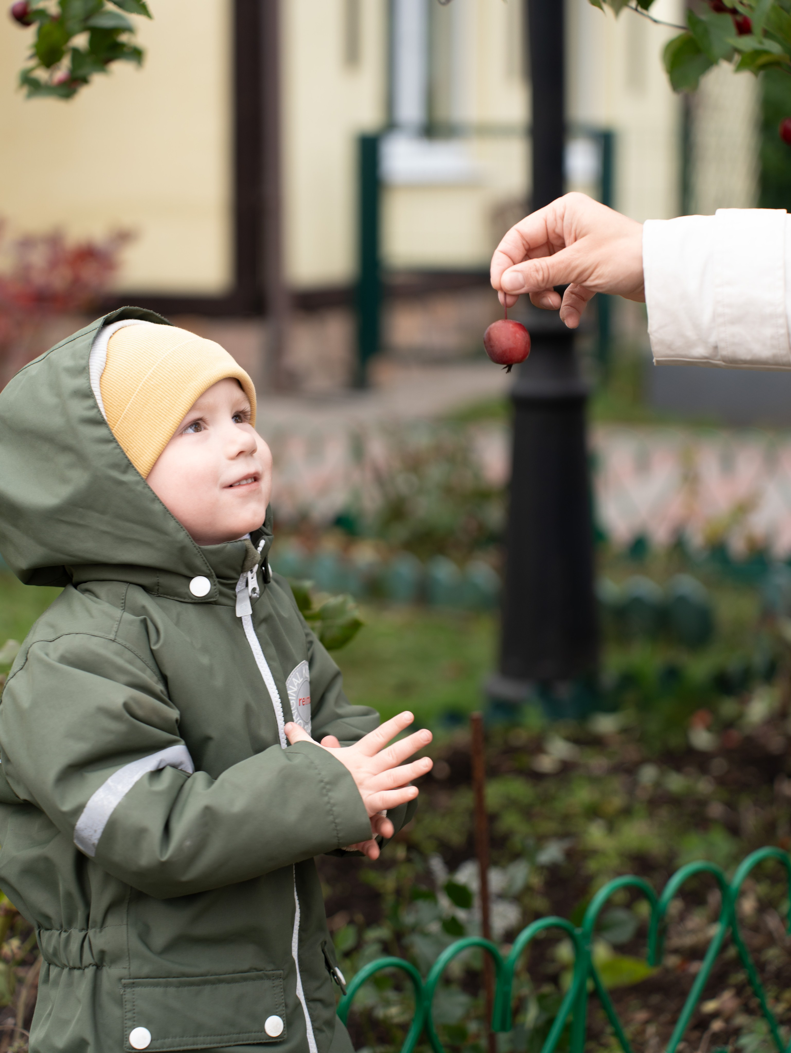 Семейная прогулка в «Токкари-Ленд». Фотограф Светлана Мересева
