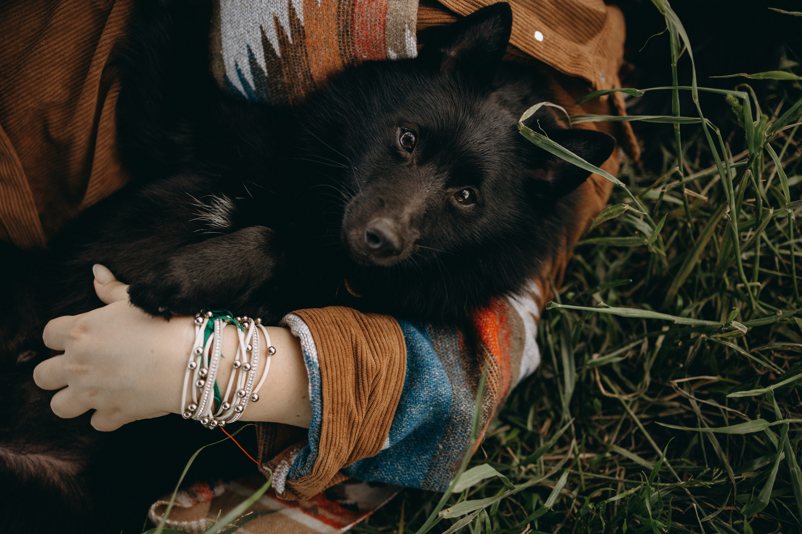 Анна и Максимус. Фотограф — Анималист | Санкт-Петербург