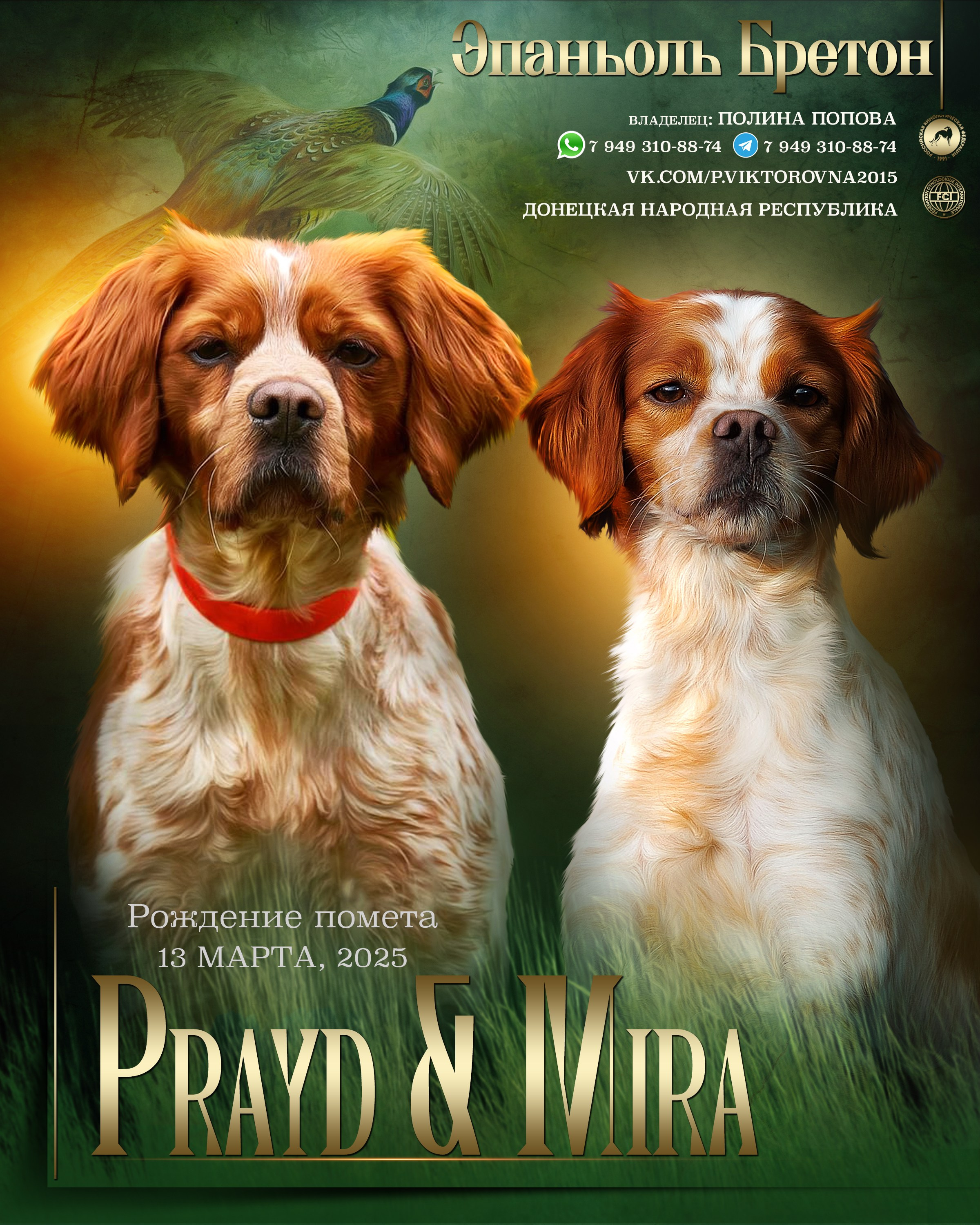 Презентация. Фотограф