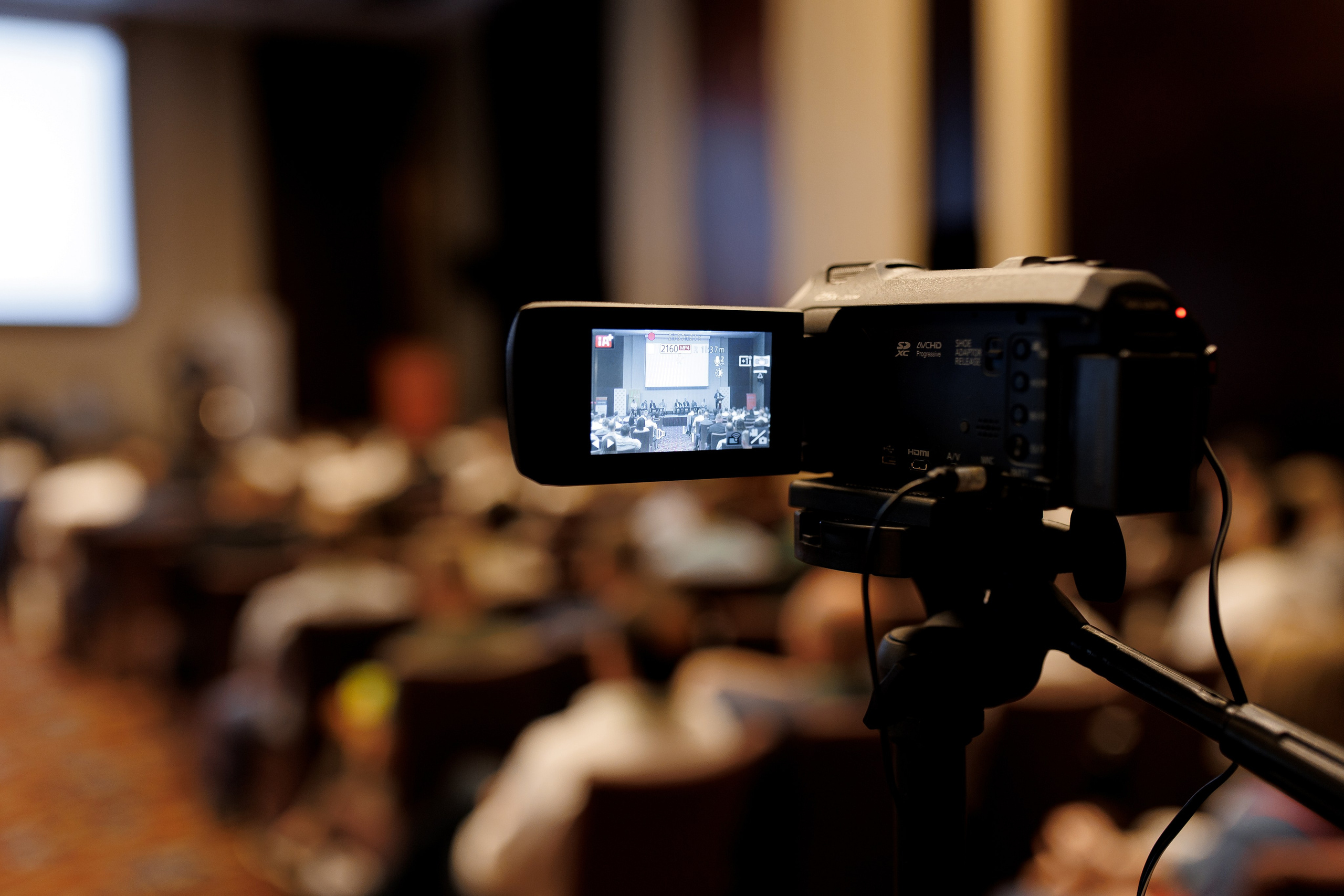 LSF. Свадебный фотограф Каледич Тимофей