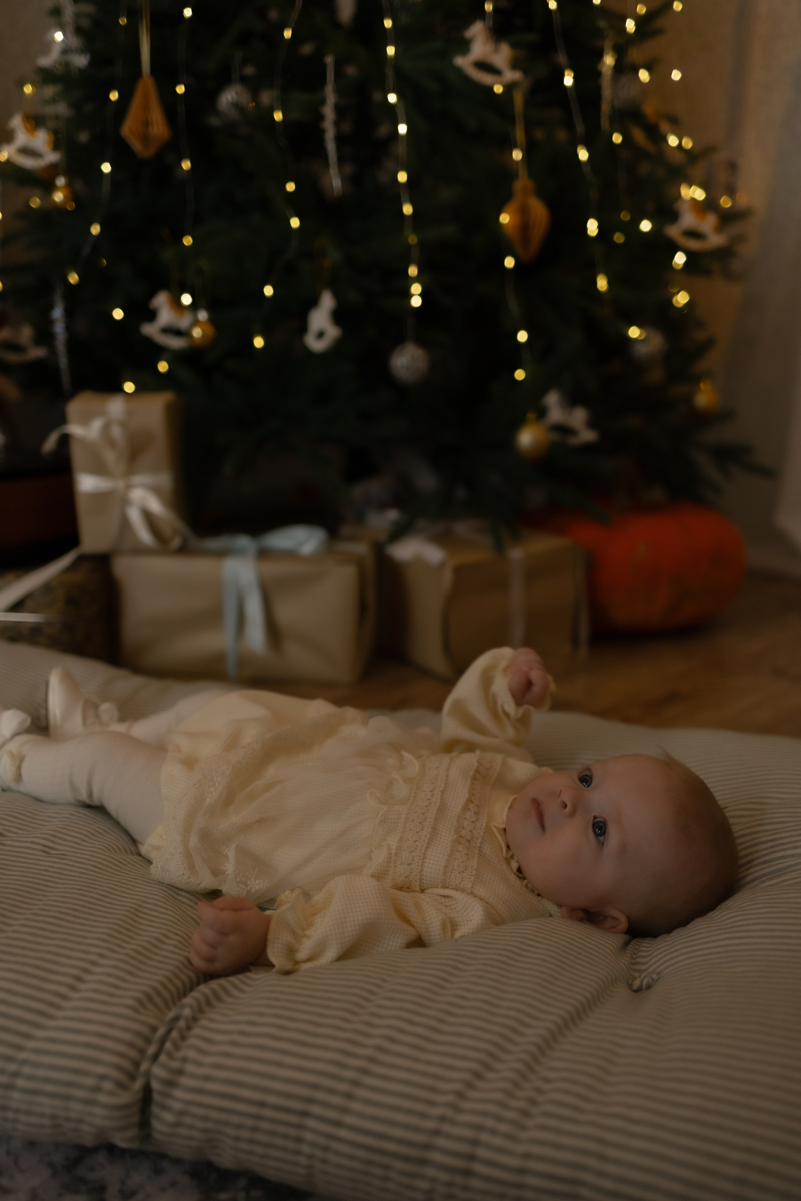 Семейная новогодняя. Фотограф Татьяна Семенова