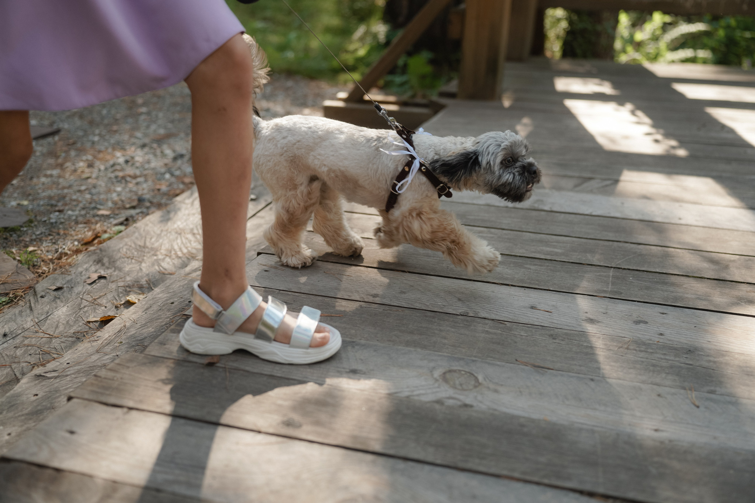 Влад и Даша. Организатор мероприятий в Абакане I Ольга Петухова
