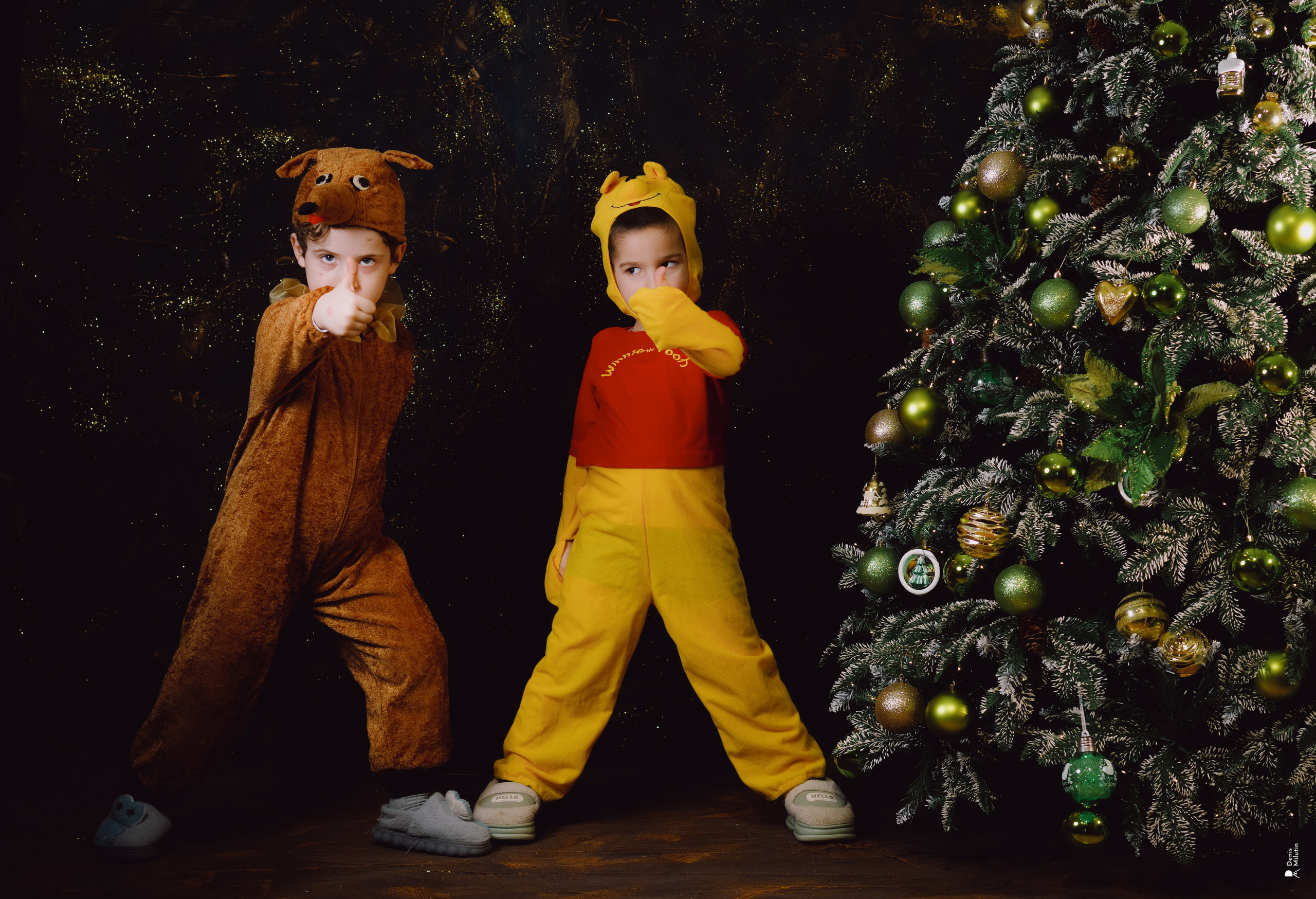 Новогодние открытки. Портретный фотограф Денис Милютин