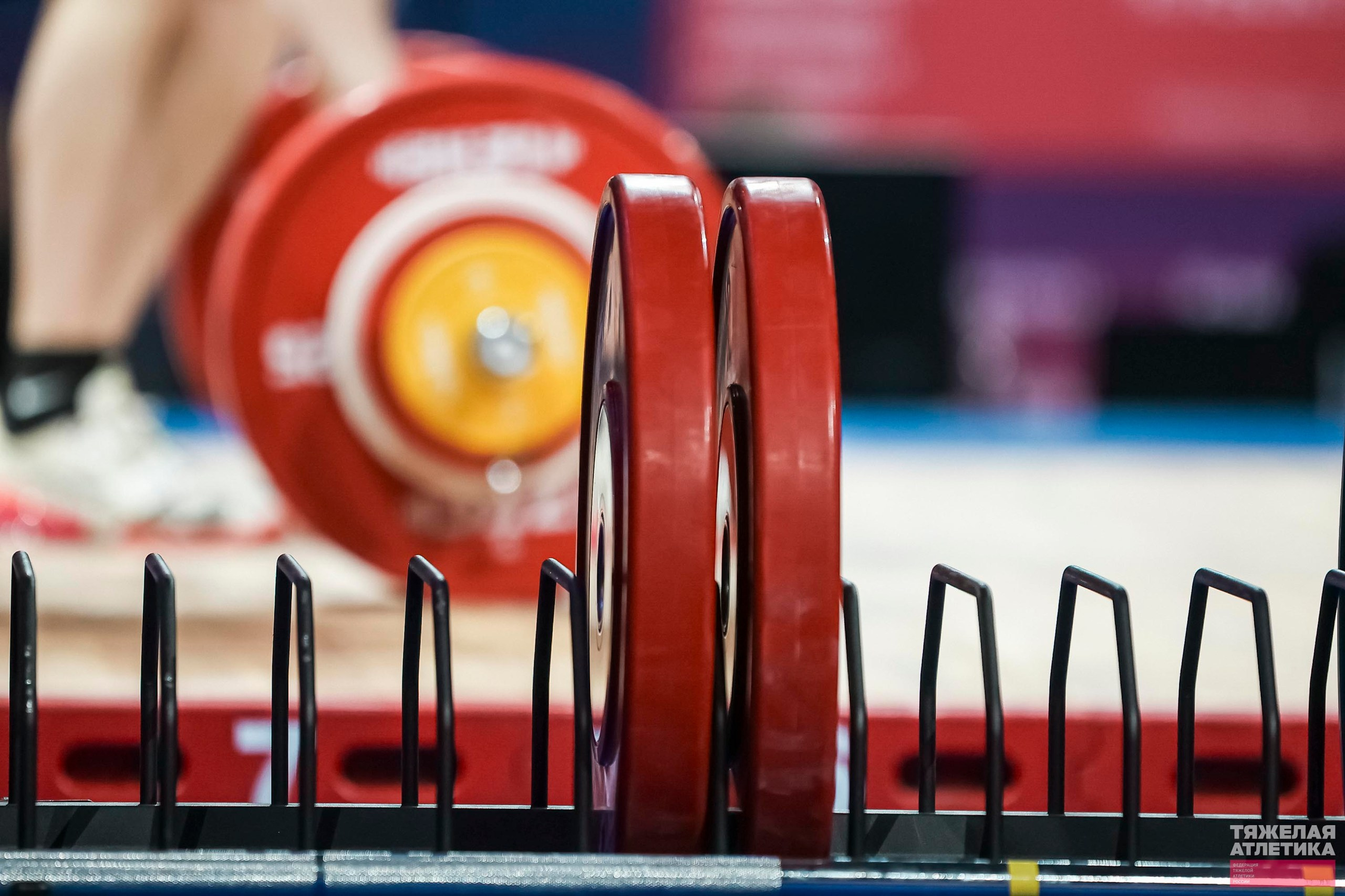 Кубок России по тяжёлой атлетике 2026. Фотограф Москва Sports photo / Fashion photо