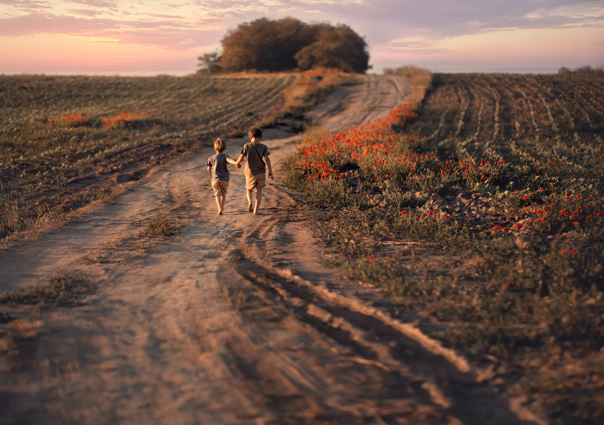 Маки. Семейный фотограф в Анапе Светлана Тернопол