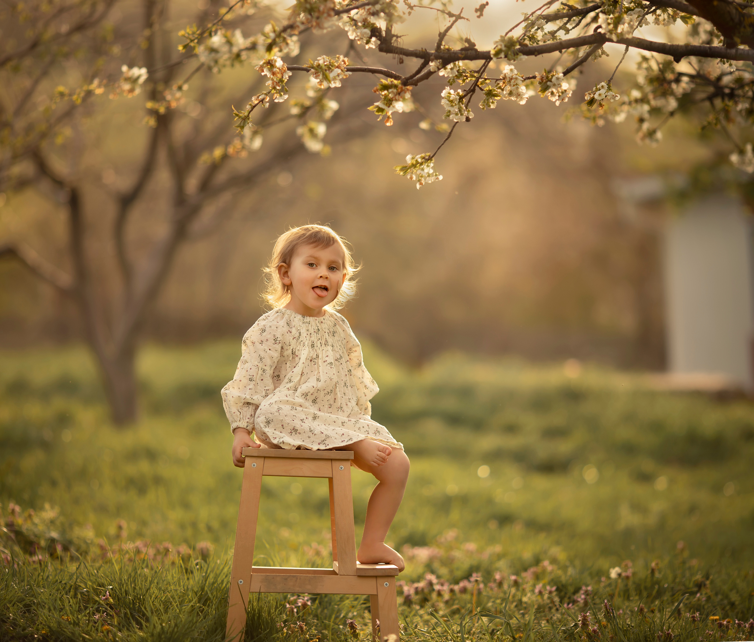 Сады. Семейный фотограф в Анапе Светлана Тернопол