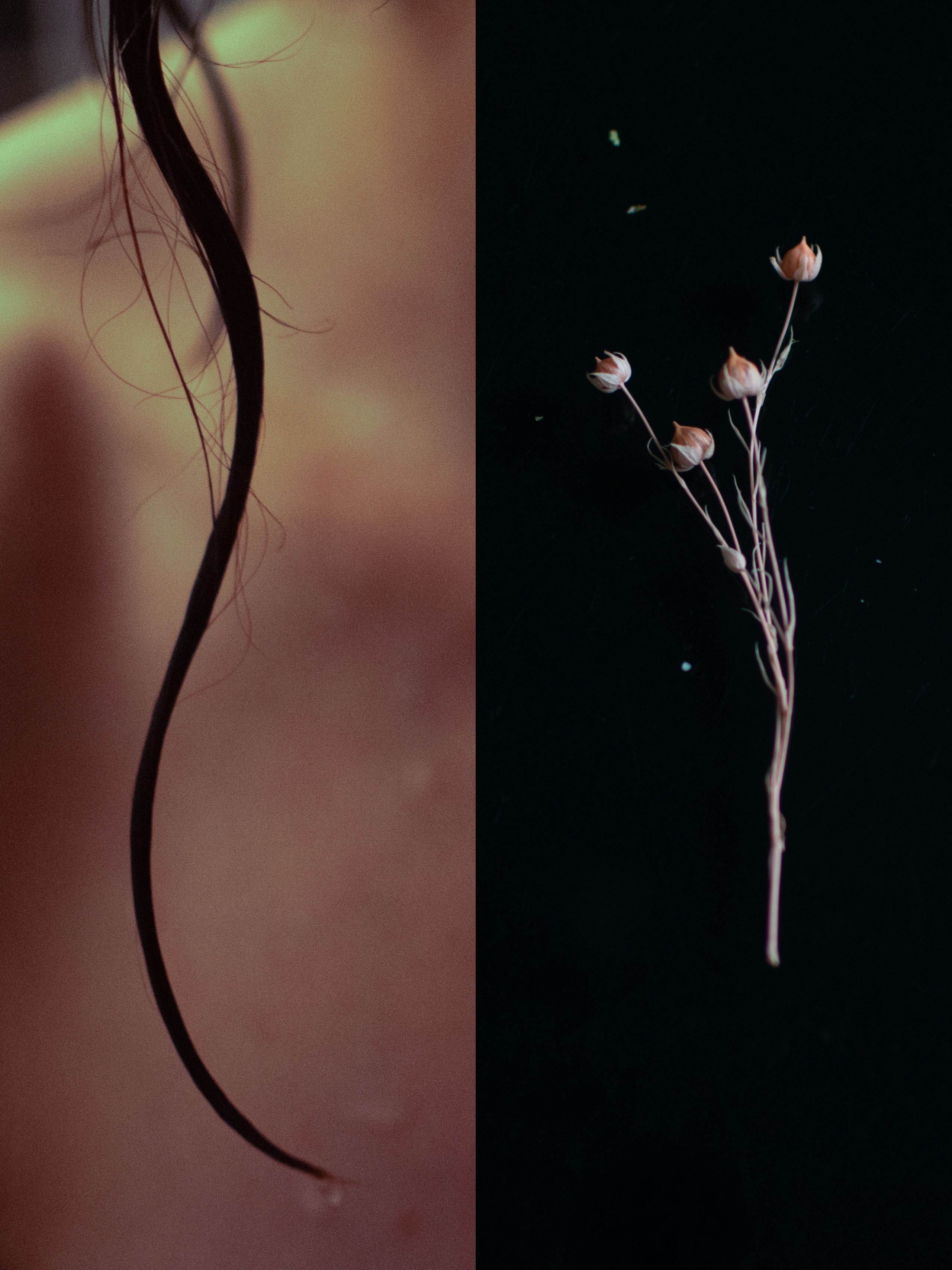 Люди — цветы. Анна Полонеева фотография фотохудожник визуальная художница портреты