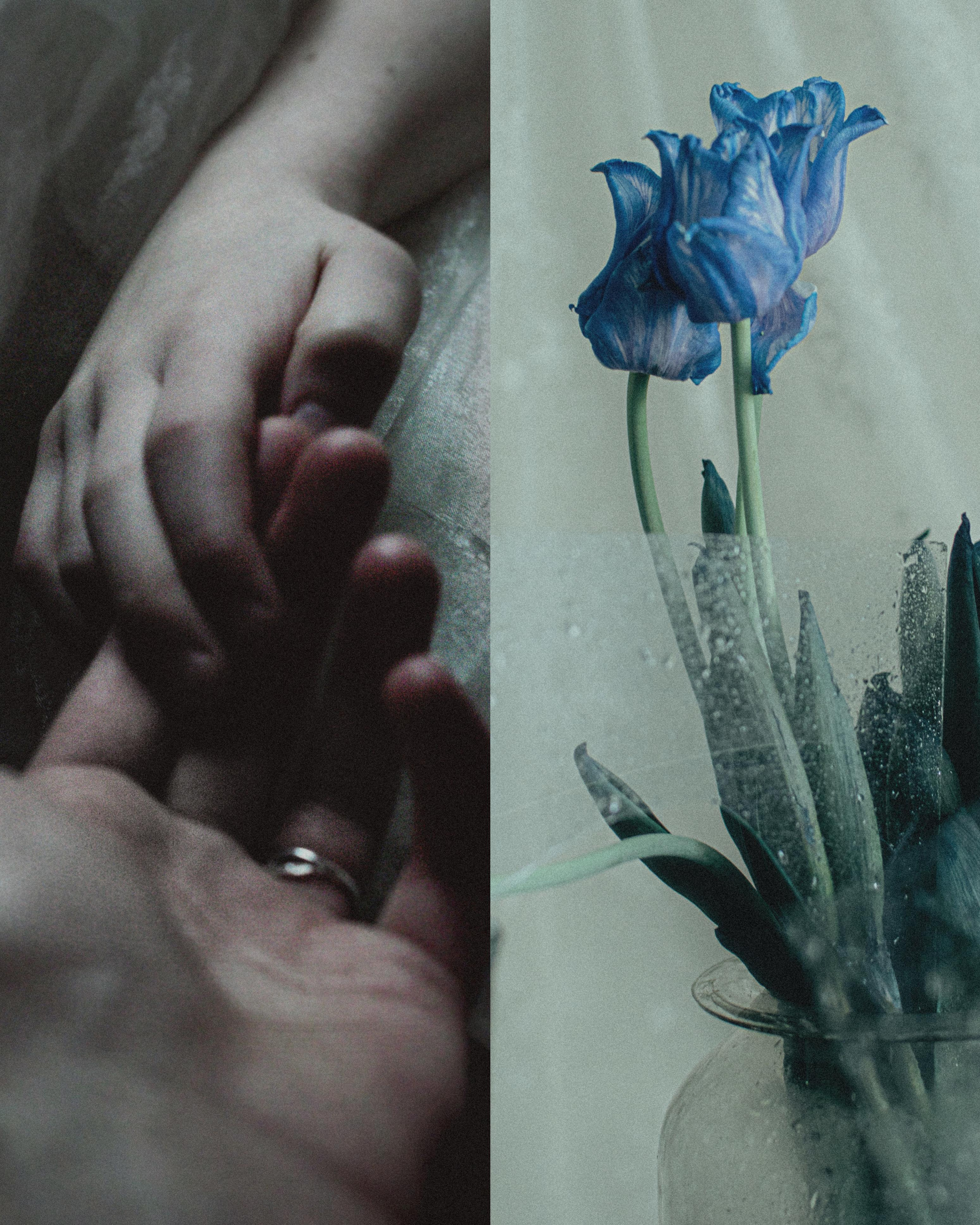 Люди — цветы. Анна Полонеева фотография фотохудожник визуальная художница портреты