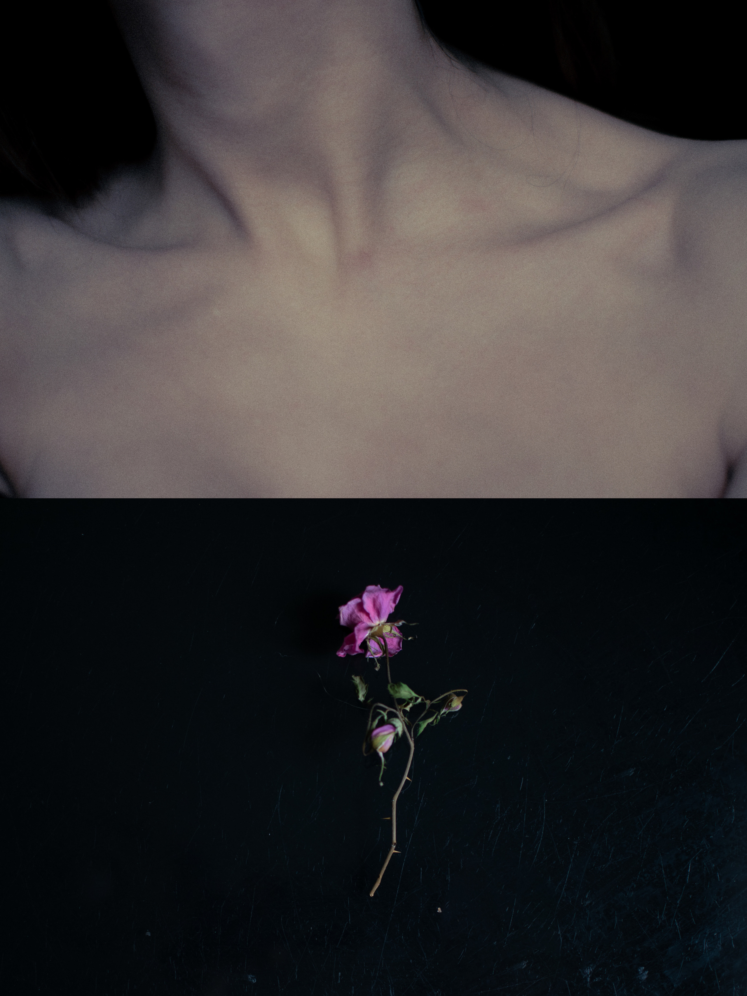 Люди — цветы. Анна Полонеева фотография фотохудожник визуальная художница портреты