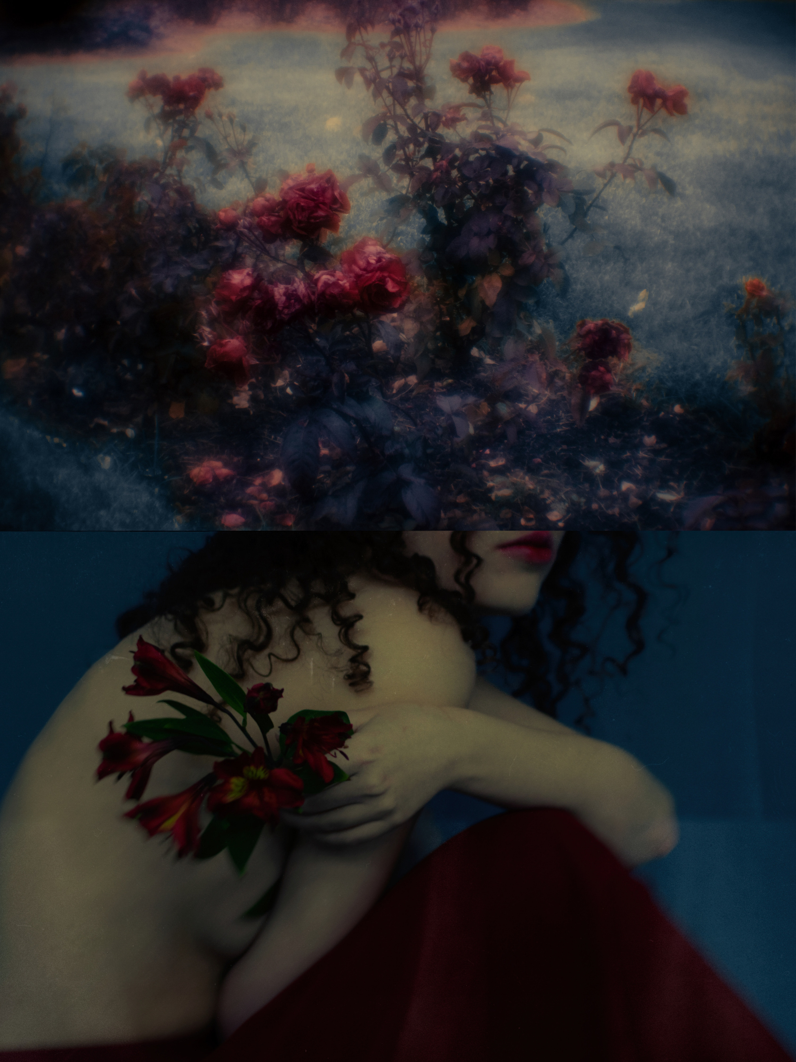 Люди — цветы. Анна Полонеева фотография фотохудожник визуальная художница портреты